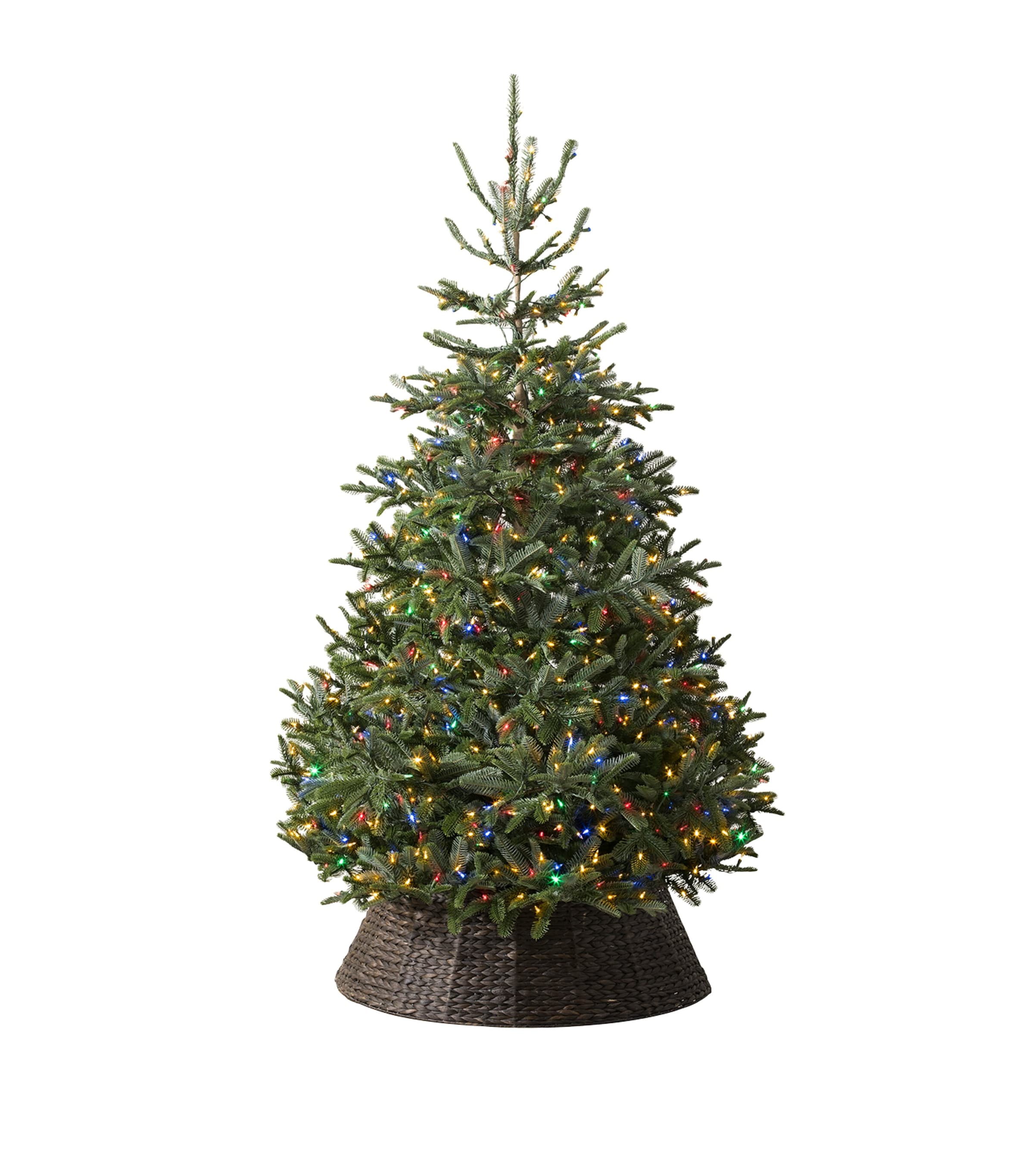 Balsam Hill Nordmann Fir Led Colour + Clear Christmas Tree In Green