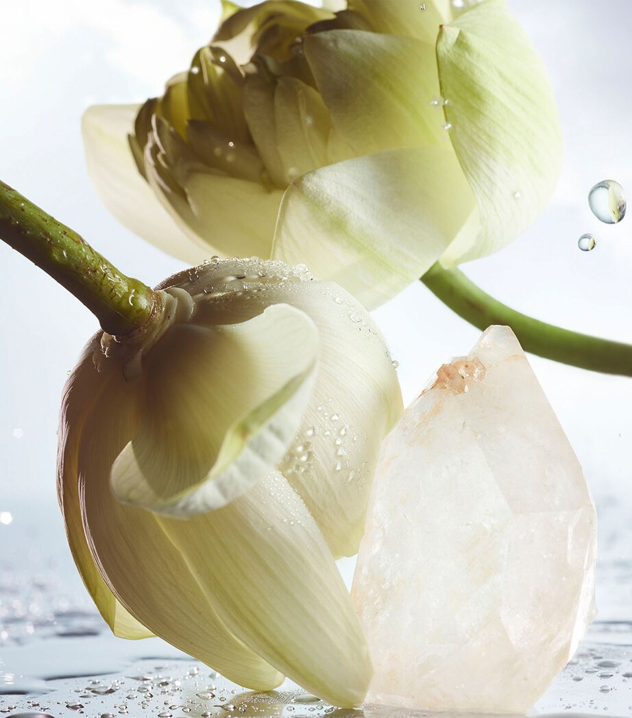 Man Rain Essence Eau de Parfum (60ml) NO COLOUR Image 5