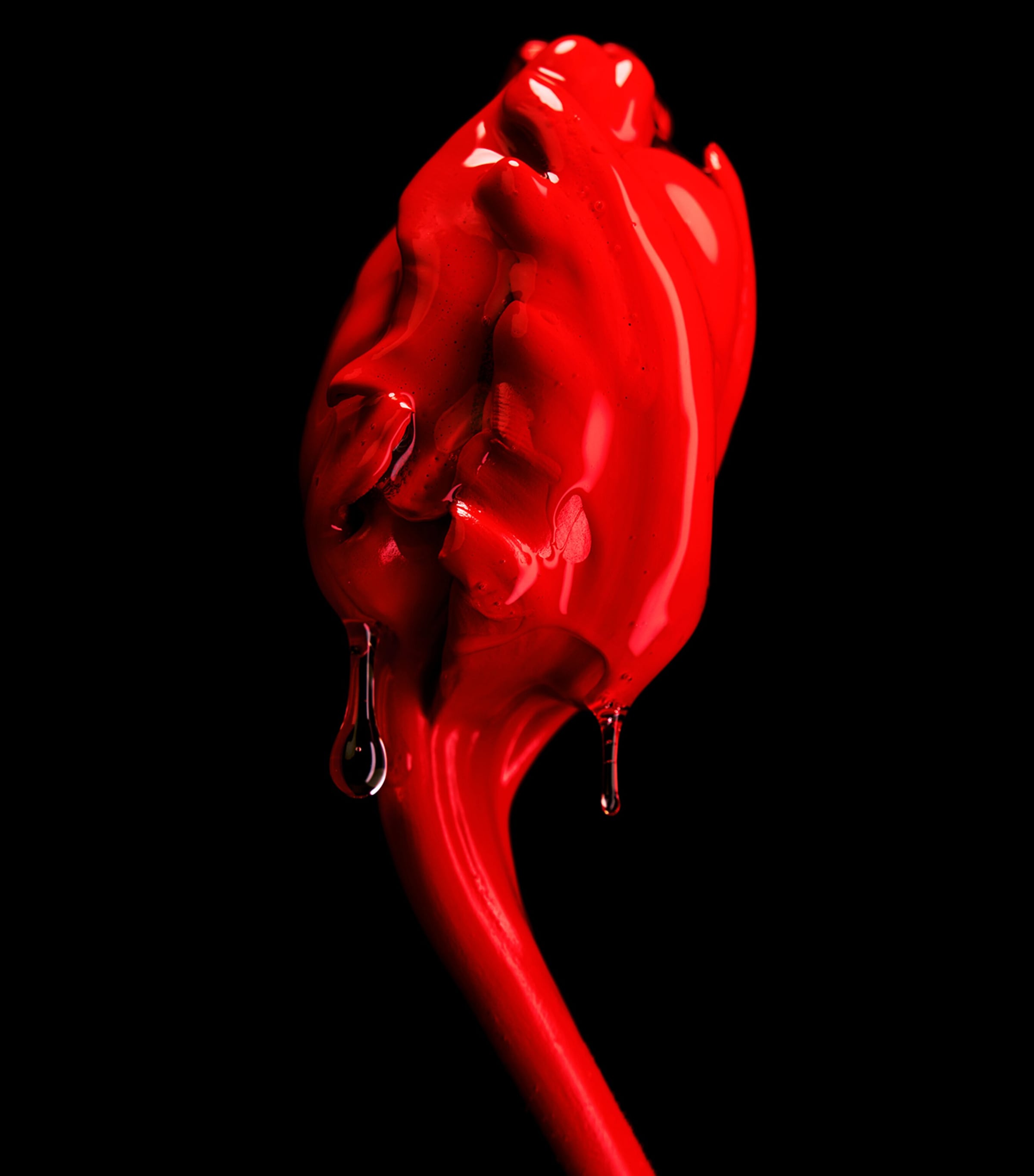 Rose of No Man's Land Absolu de Parfum (100ml) NO COLOUR Image 4