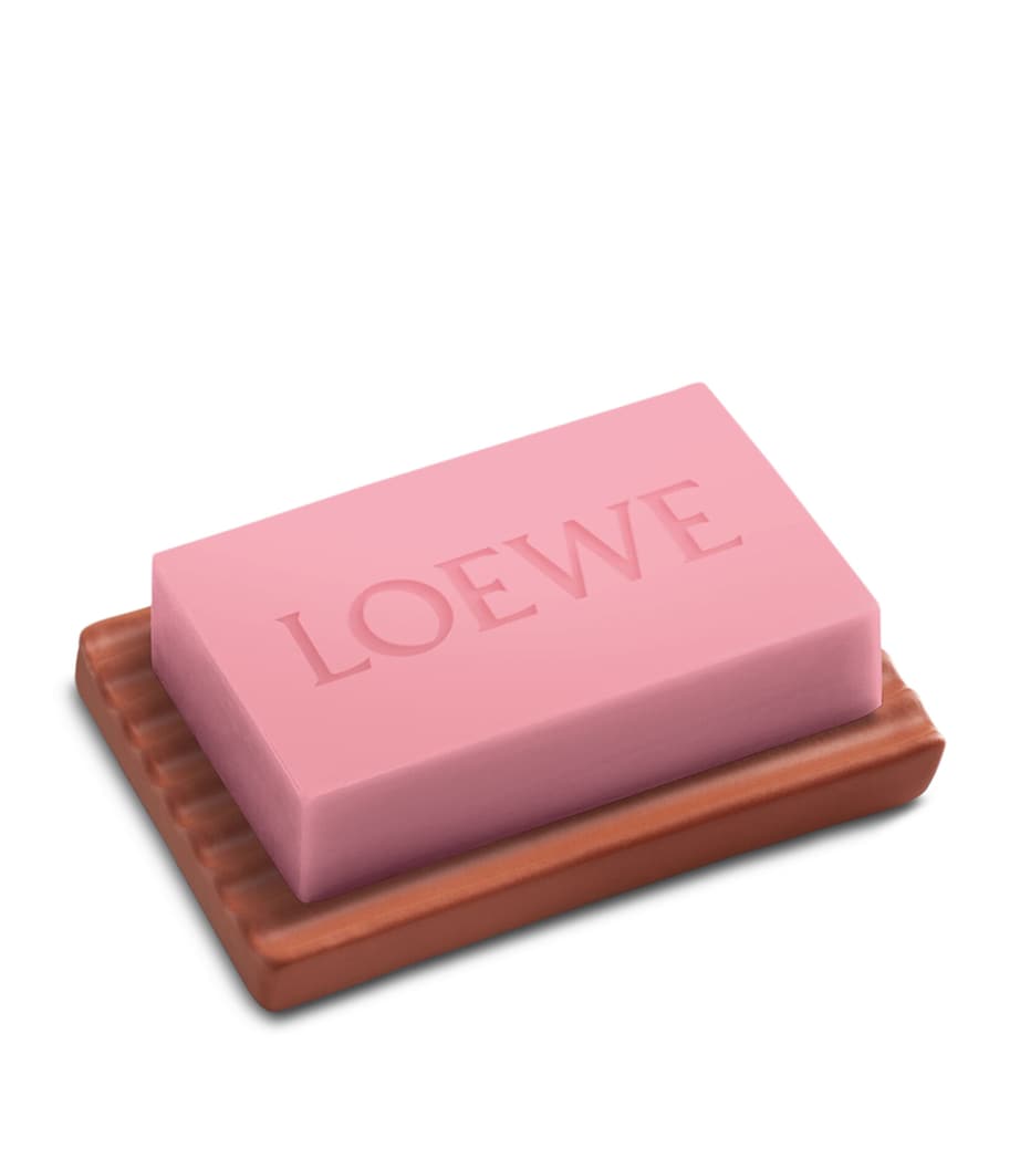 Terracotta Soap Dish NO COLOUR Image 2