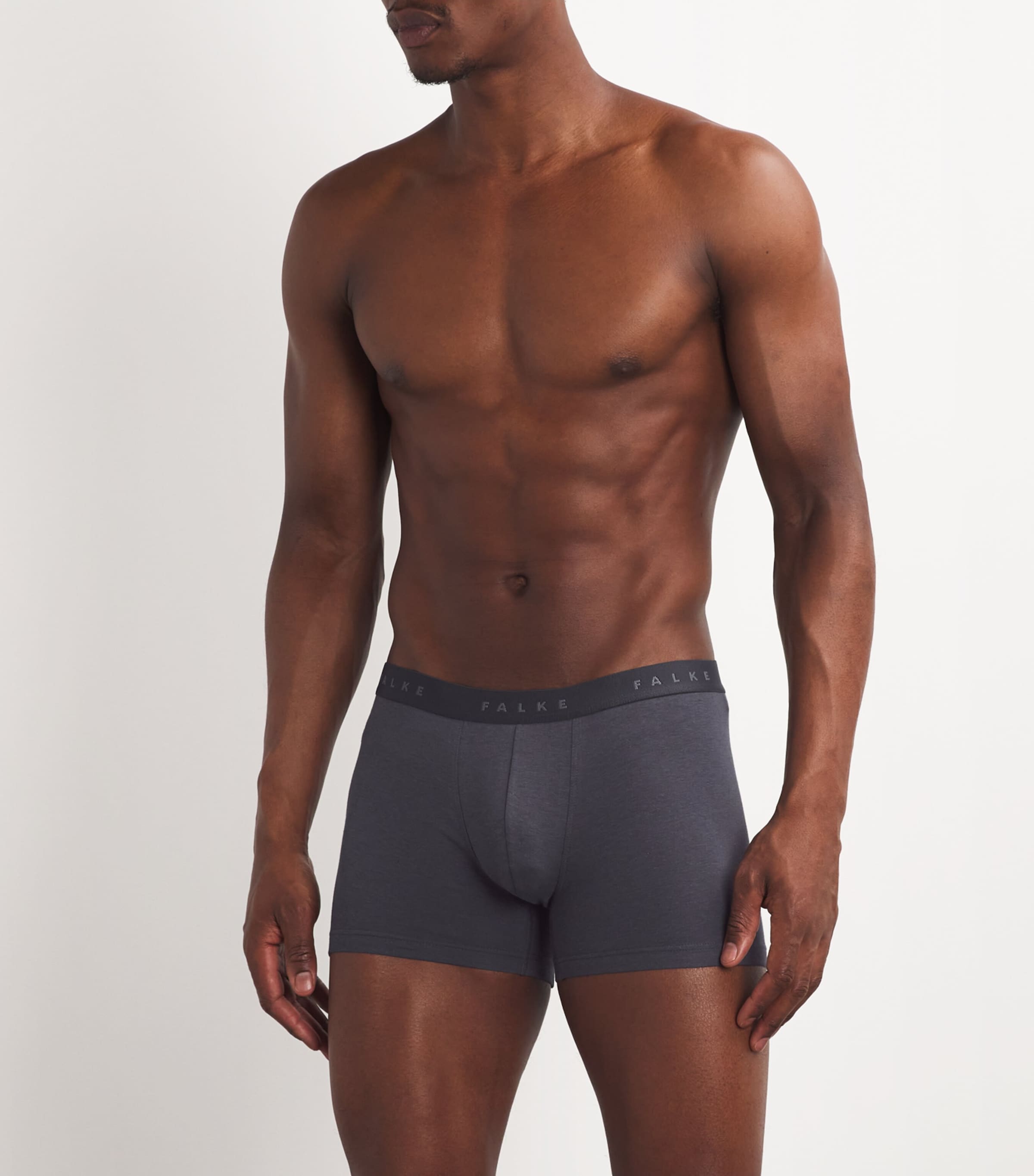 Daily Climate Control Boxer-Briefs 3596/CARBON Image 2