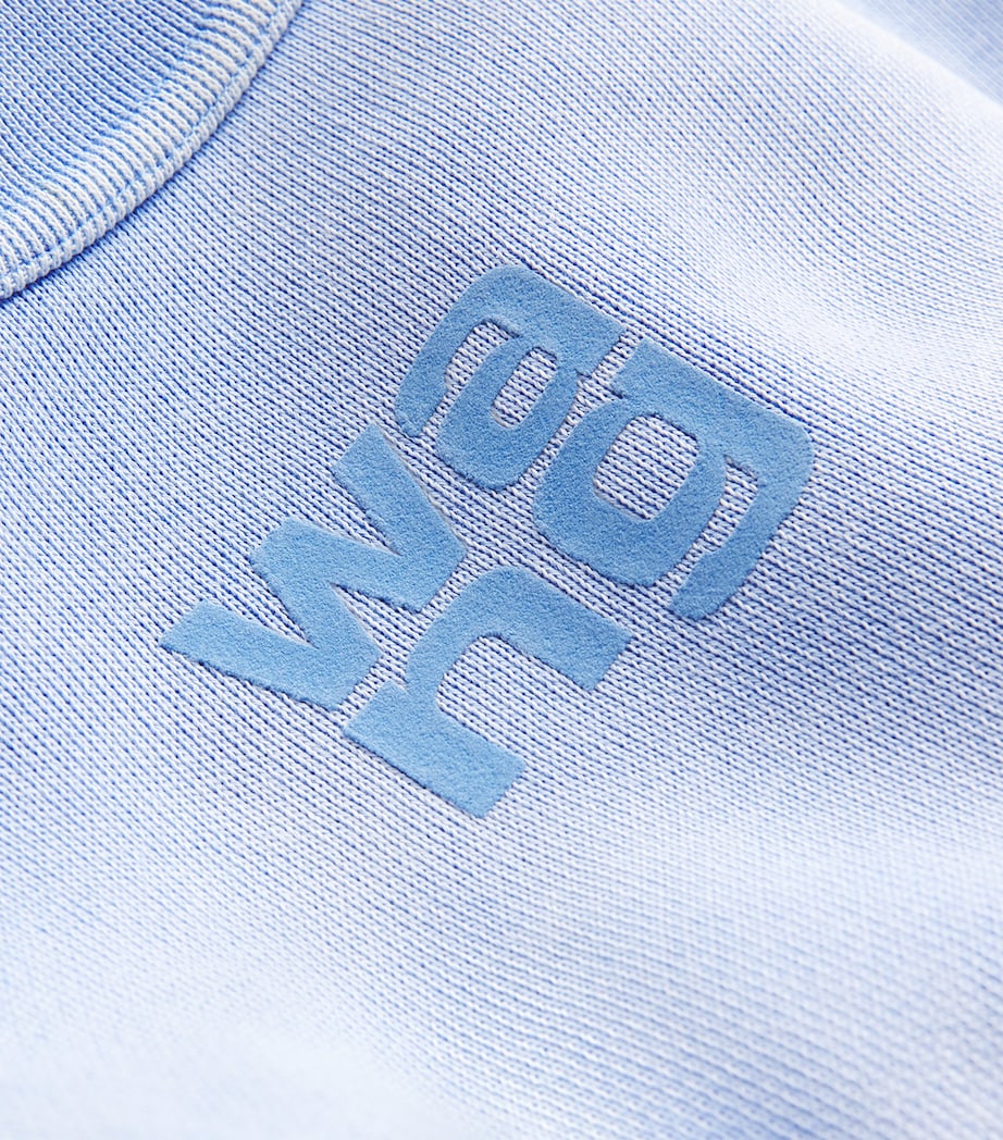 Puff Print Terry Sweatshirt WASHED PALE BLUE Image 5
