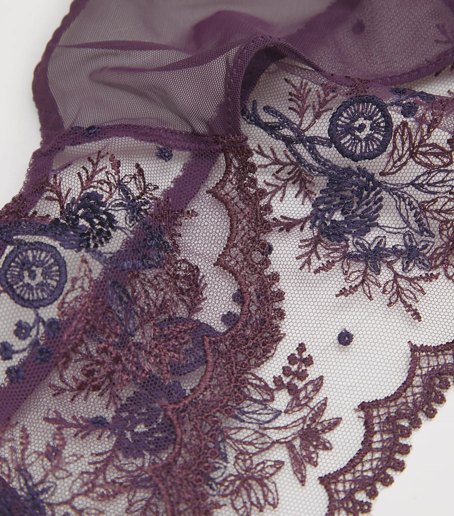 Intrigue Tanga 431 FIG Image 4