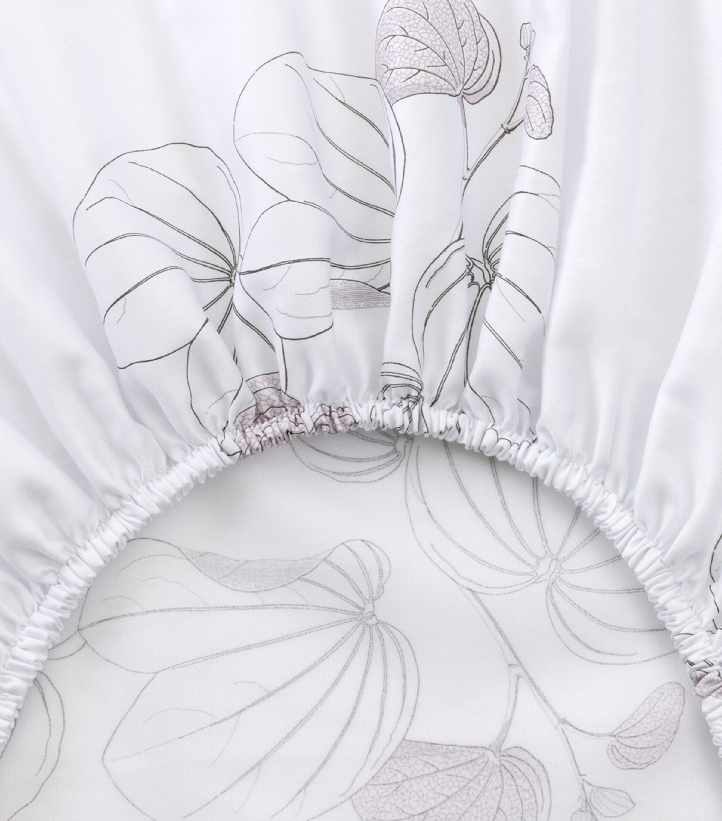 Floral Orchidee Single Fitted Sheet (90cm x 200cm) MULTICOLOURED Image 3