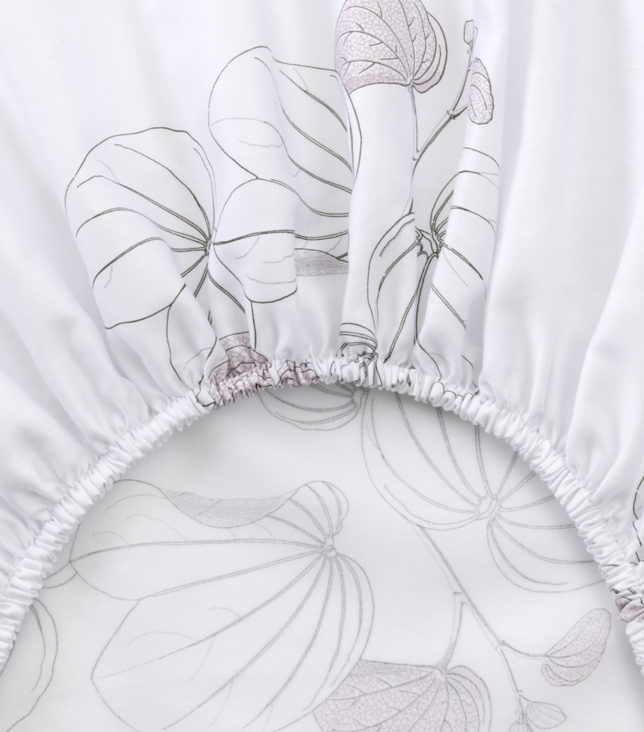 Floral Orchidee Single Fitted Sheet (90cm x 200cm) MULTICOLOURED Image 3