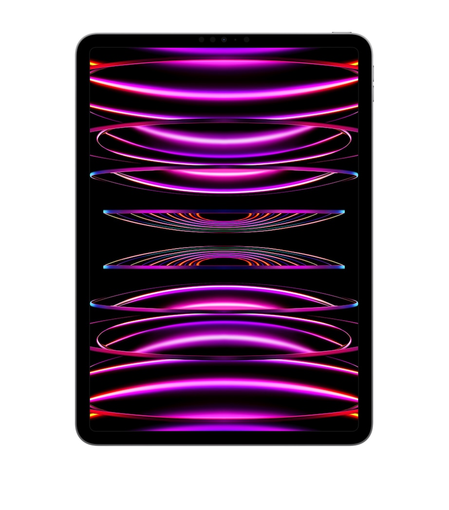 iPad Pro 11" Cellular (2022) 128GB - Space Grey GREY Image 1