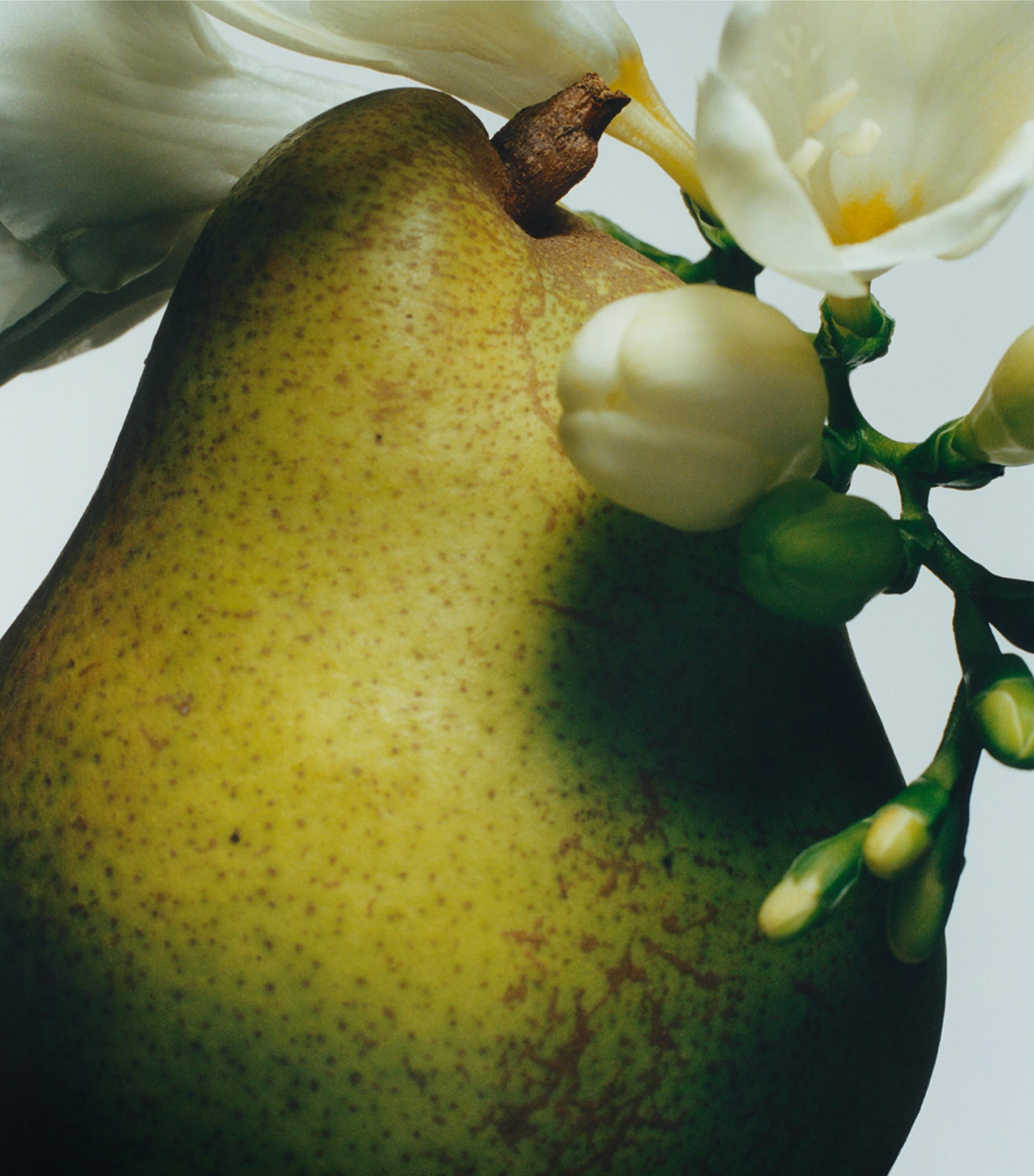 English Pear And Freesia Bath Oil (250ml) NO COLOUR Image 2