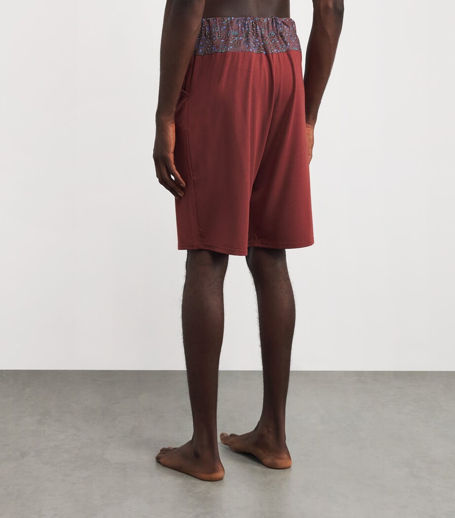 Paisley Trim Aristo Shorts CLAA-CLAY/ART STW RD Image 4