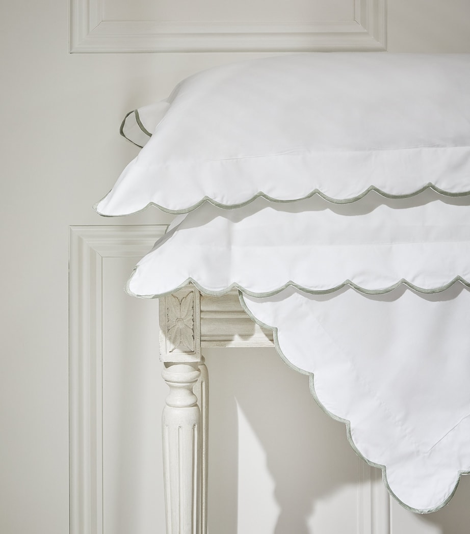 Egyptian Cotton Parisian Square Pillowcases (65cm x 65cm) WHITE/SAGE Image 5