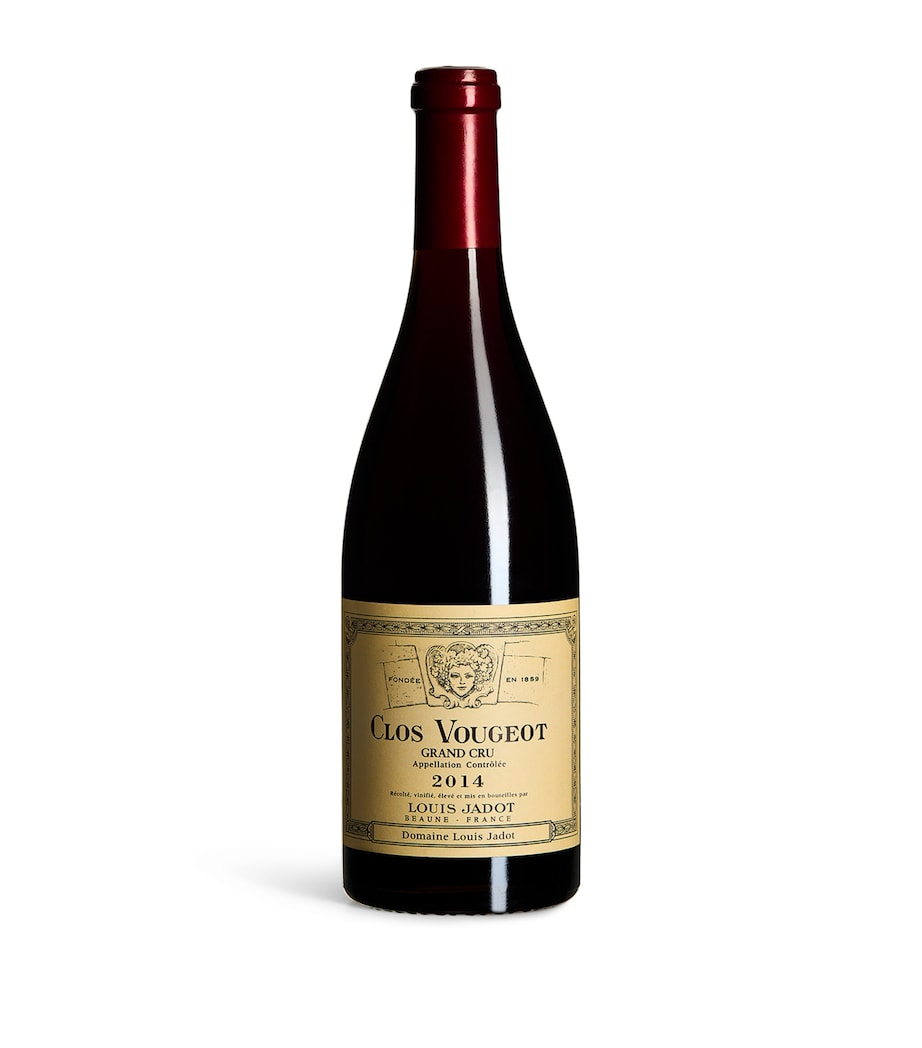Louis Jadot Clos de Vougeot Grand Cru 2014 (75cl) - Burgundy, France Image 1