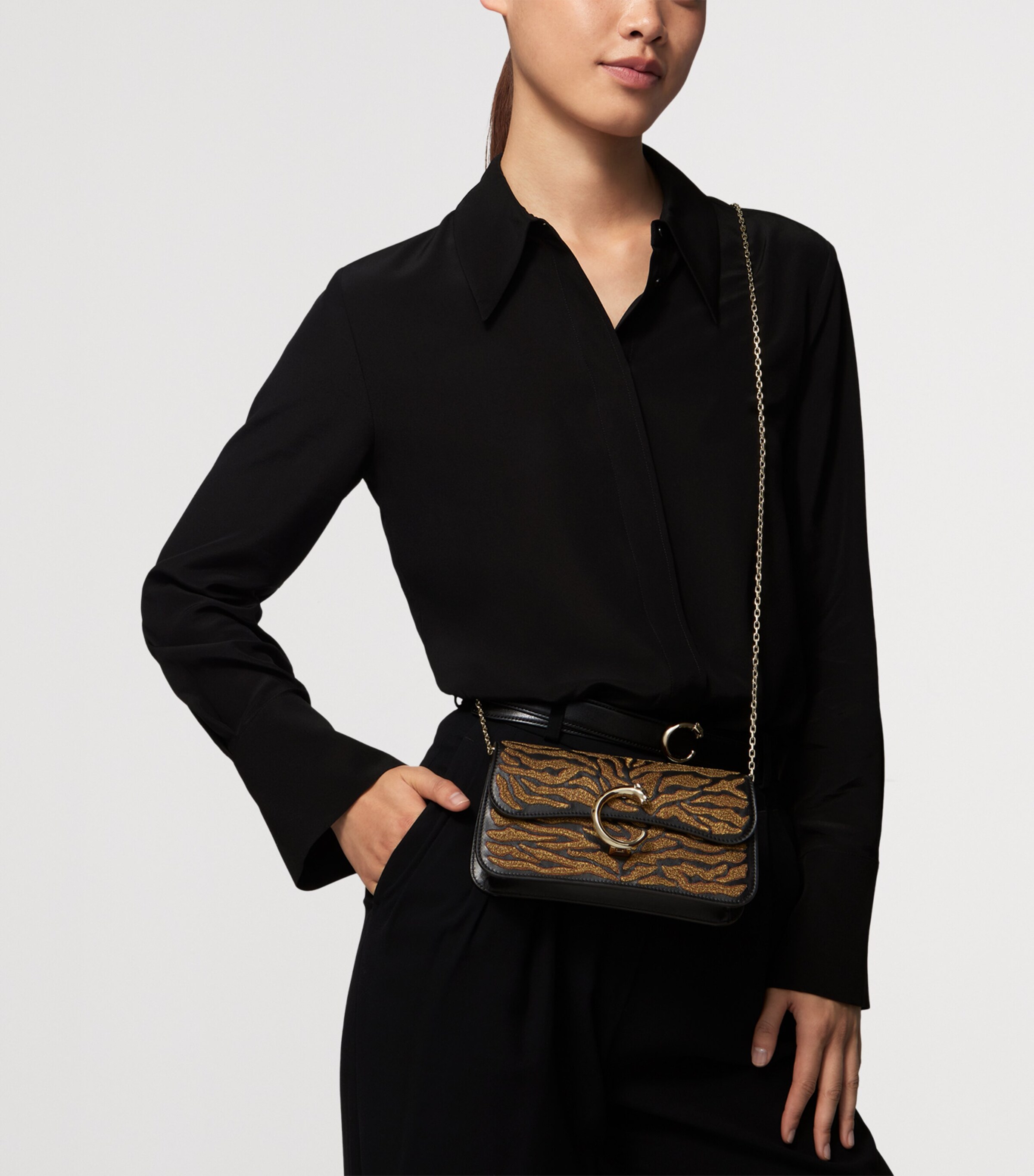 Cartier Mini Panthère C de Cartier Chain Bag Black Image 6