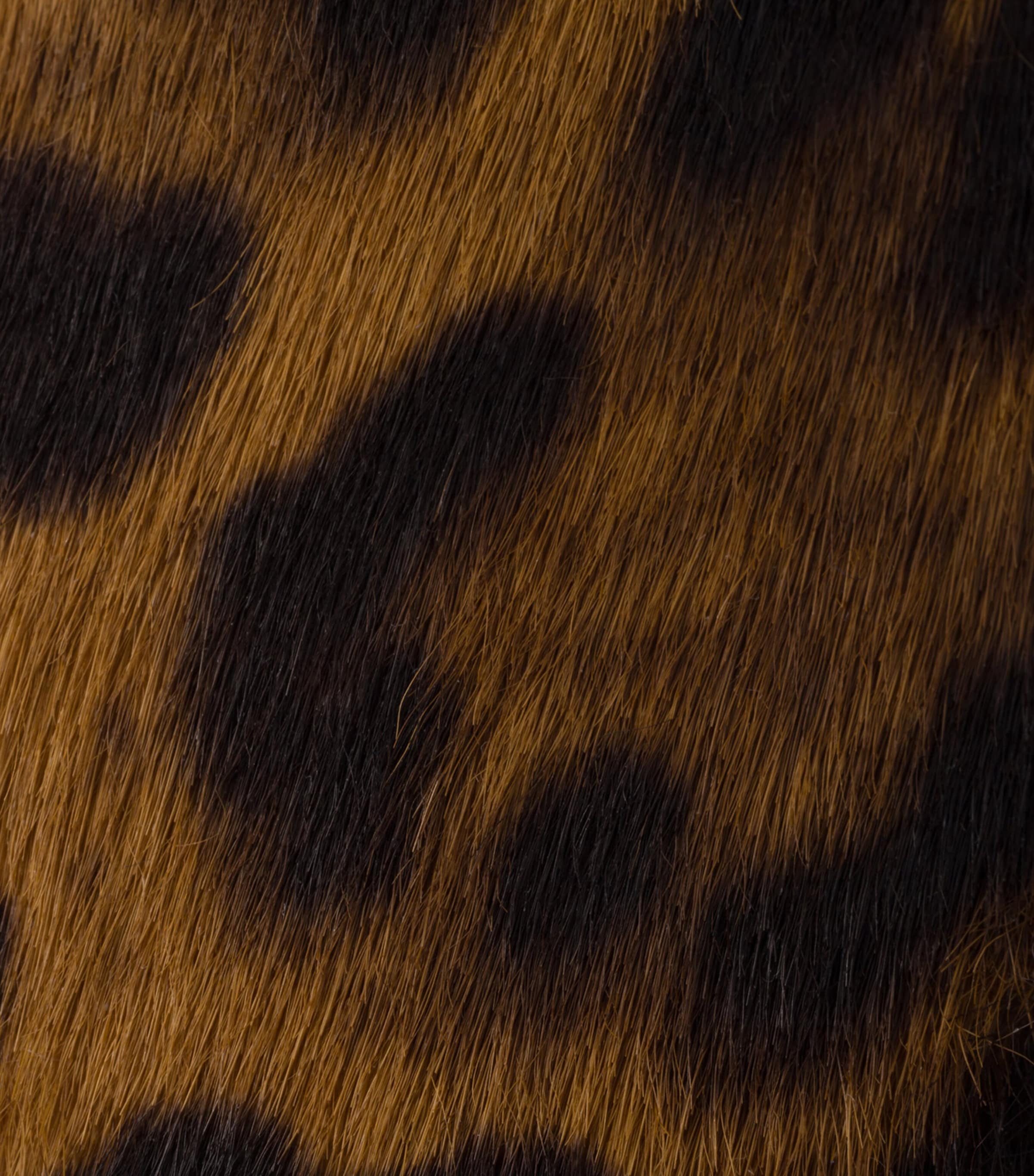 Prada Brushed Leather Leopard Print Ballet Flats Neutral Image 5