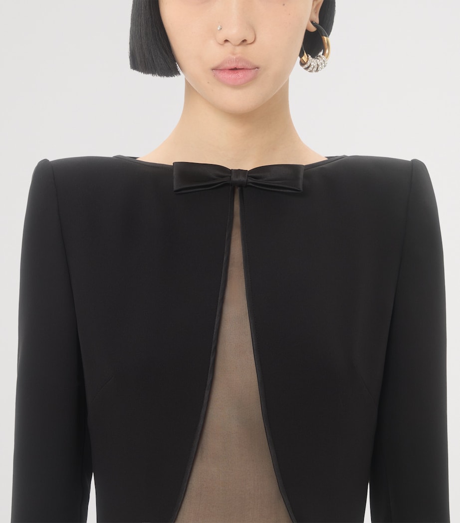 Silk Feather-Trim Gown TB1 Image 6