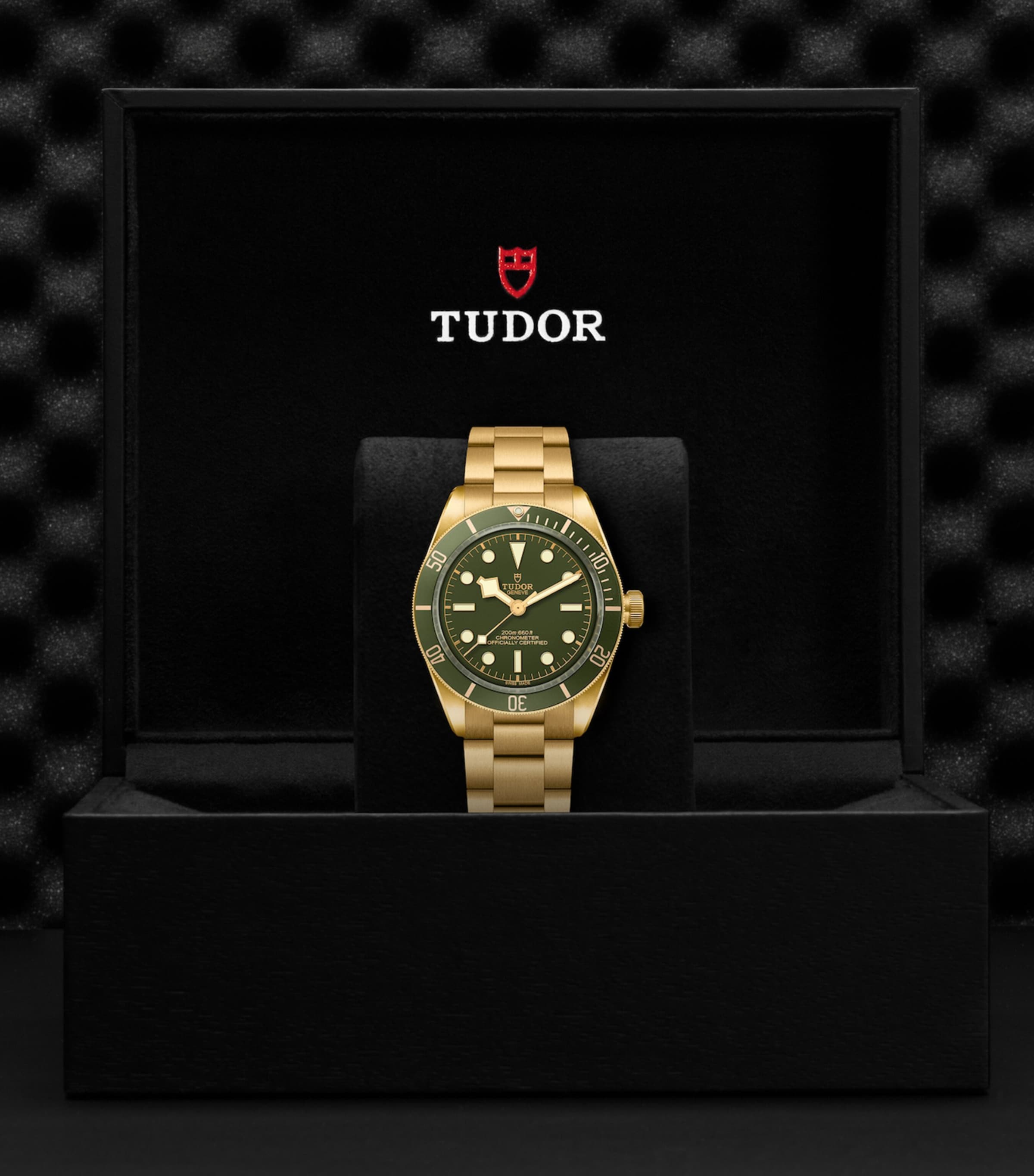 Black Bay Yellow Gold Watch 39mm GREEN Image 3