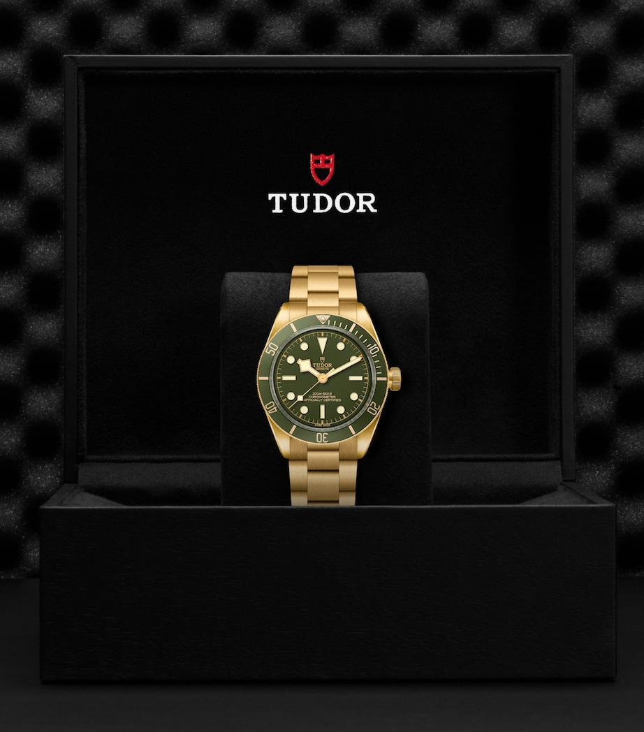 Black Bay Yellow Gold Watch 39mm GREEN Image 3