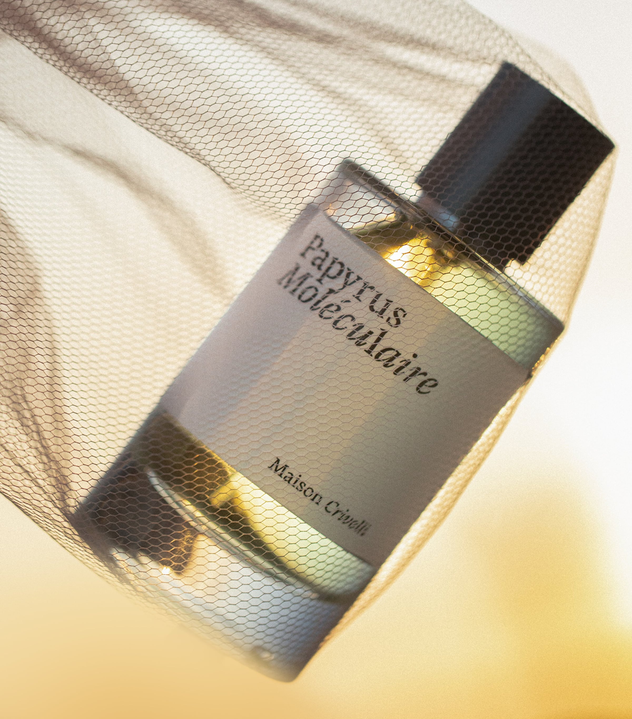 Papyrus Moléculaire Eau de Parfum (100ml) NO COLOUR Image 5