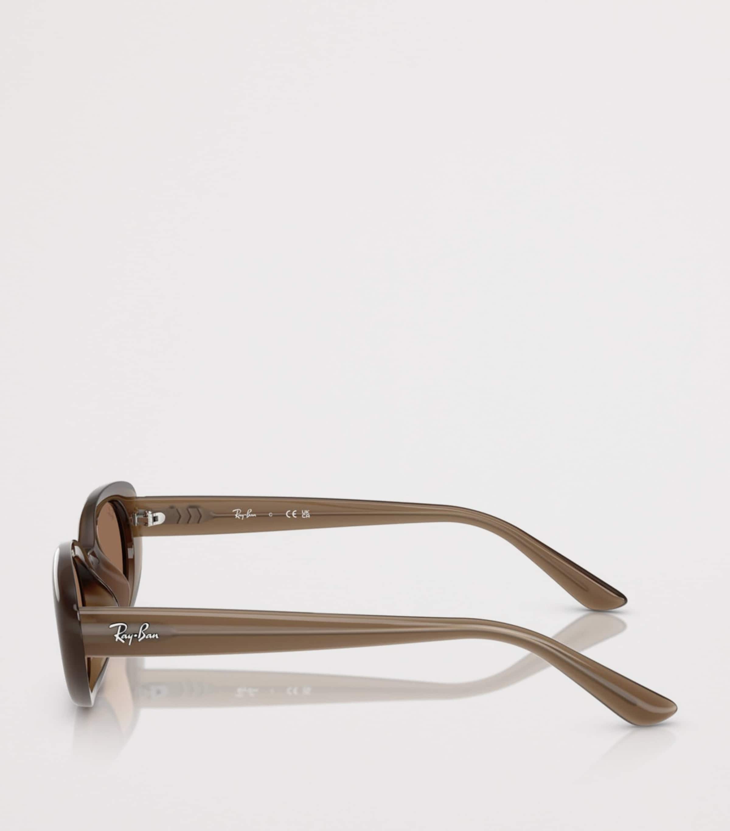 Ray-Ban Injected Oval Sunglasses Image 3