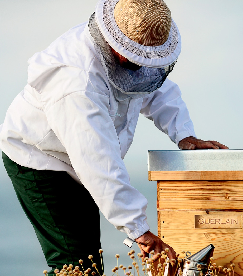 Abeille Royale Revitalising & Fortifying Care Shampoo (290ml) NO COLOUR Image 8