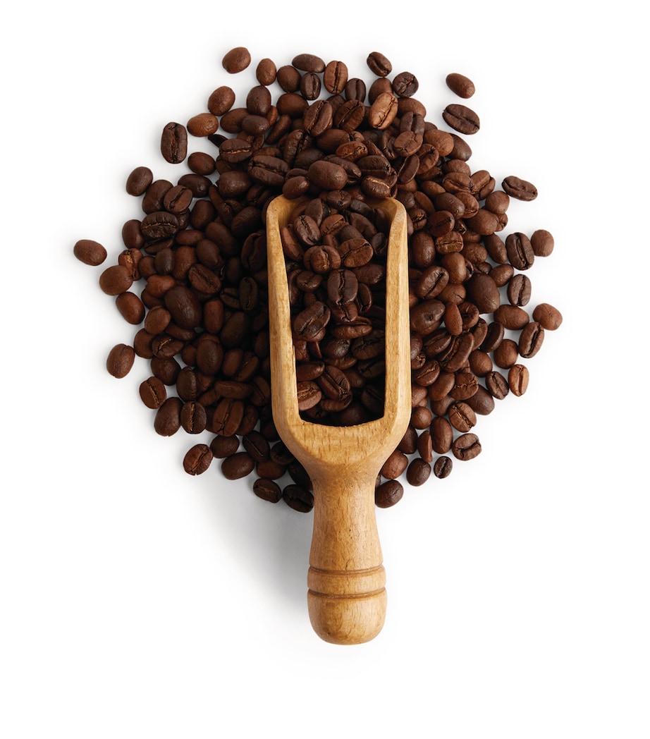 Blend 49 Coffee Beans (250g) NO COLOUR Image 5