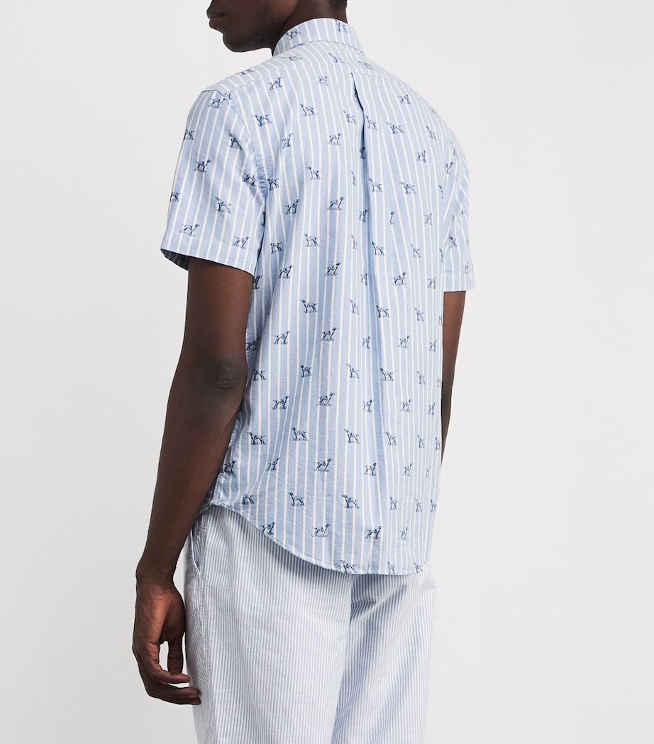 Cotton Oxford Dog Shirt BLUE Image 4