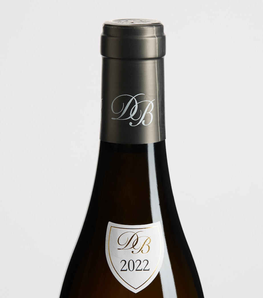 Domaine Borgeot Puligny-Montrachet 1er Cru Les Champs Gains 2022 (75cl) - Burgundy, France NO COLOUR Image 2