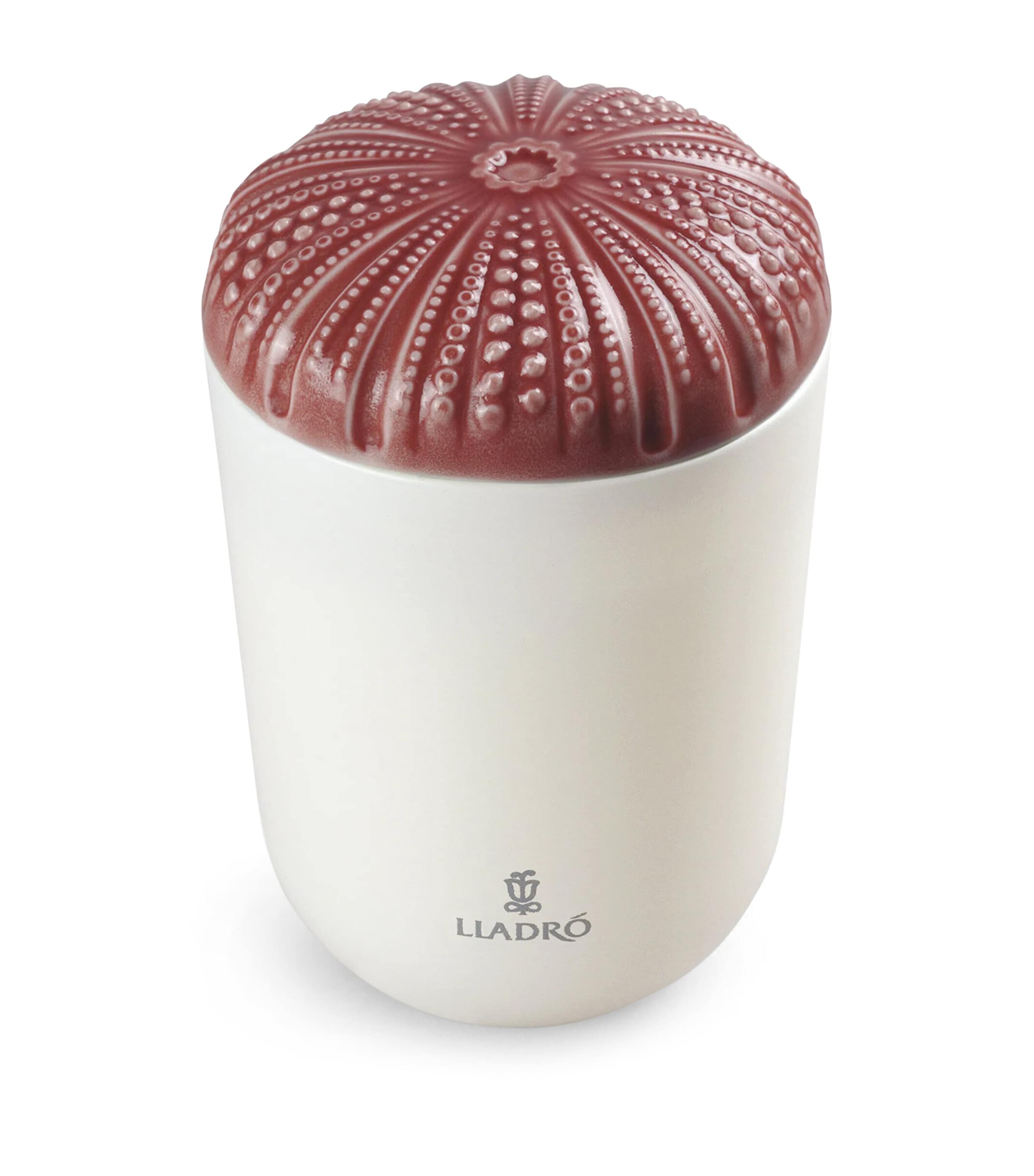 Lladrò Mediterranean Beach Echoes Of Nature Candle