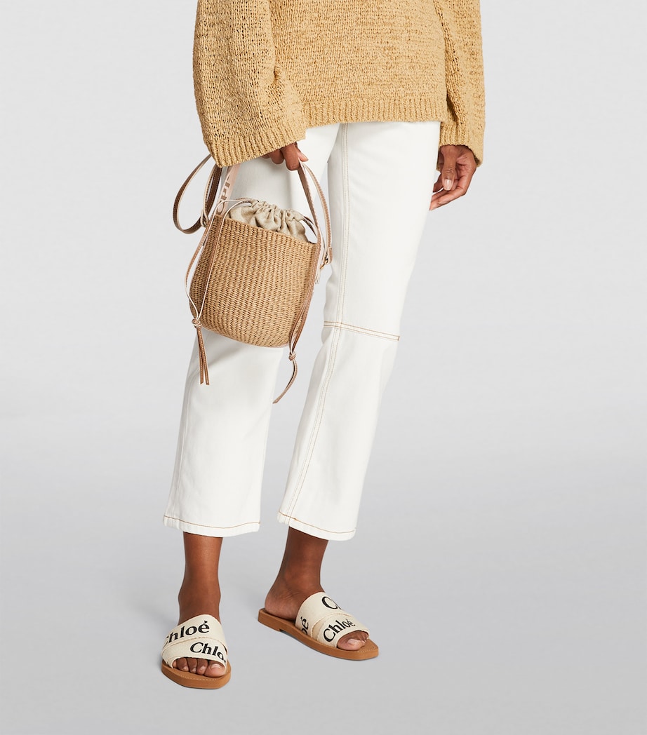 Small Woody Basket Bag BLUSHY BEIGE Image 4