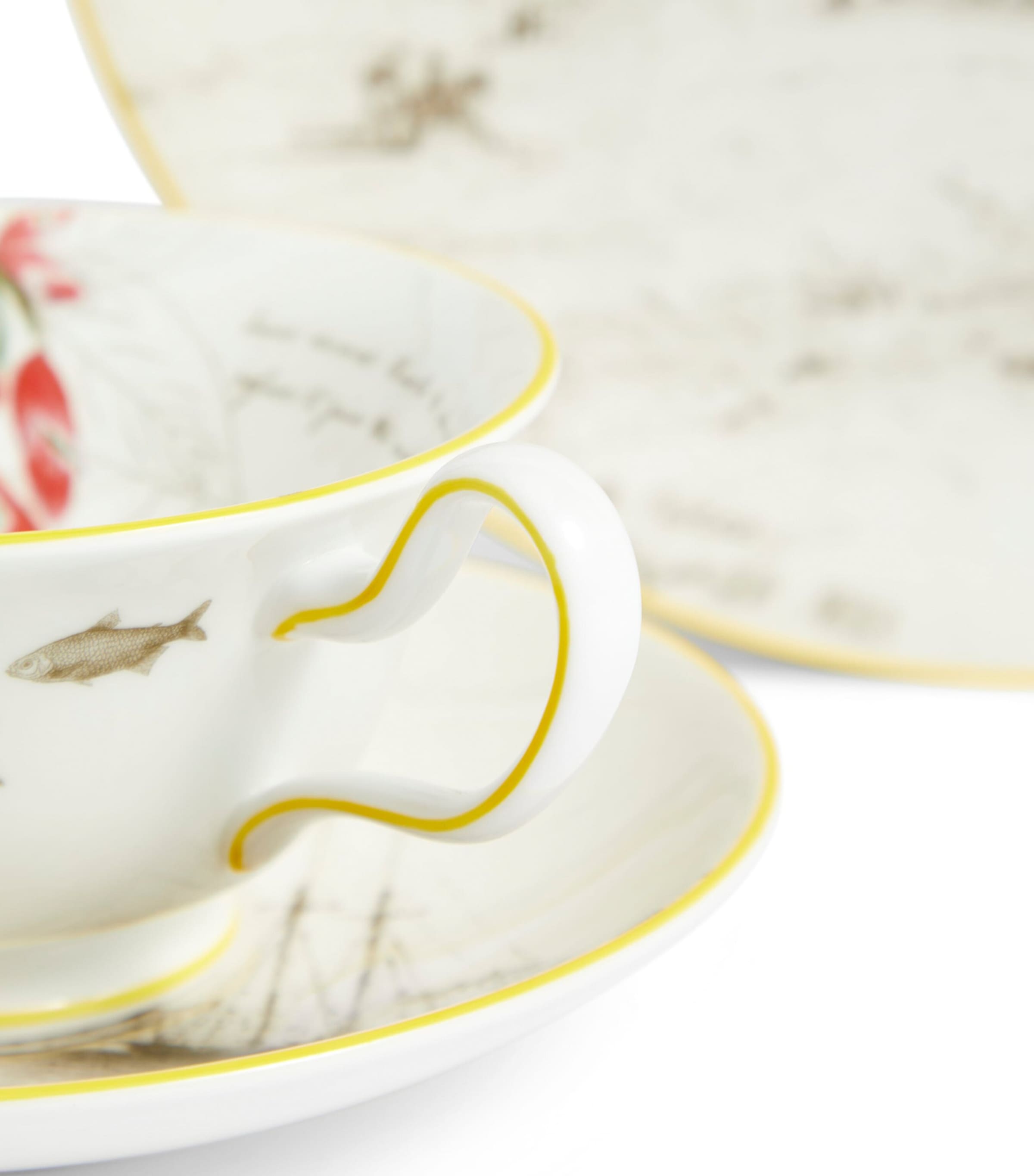 Set of 3 Voyage of the Beagle Uruguay Plates, Teacups and Saucers MULTI Image 7