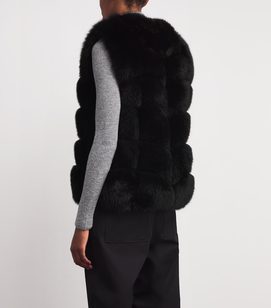 Fox Fur Gilet C99 Image 4