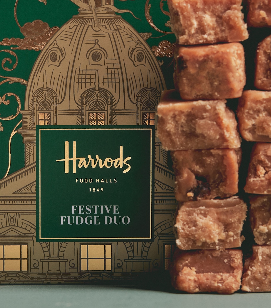 Festive Fudge Duo (300g) NO COLOUR Image 3