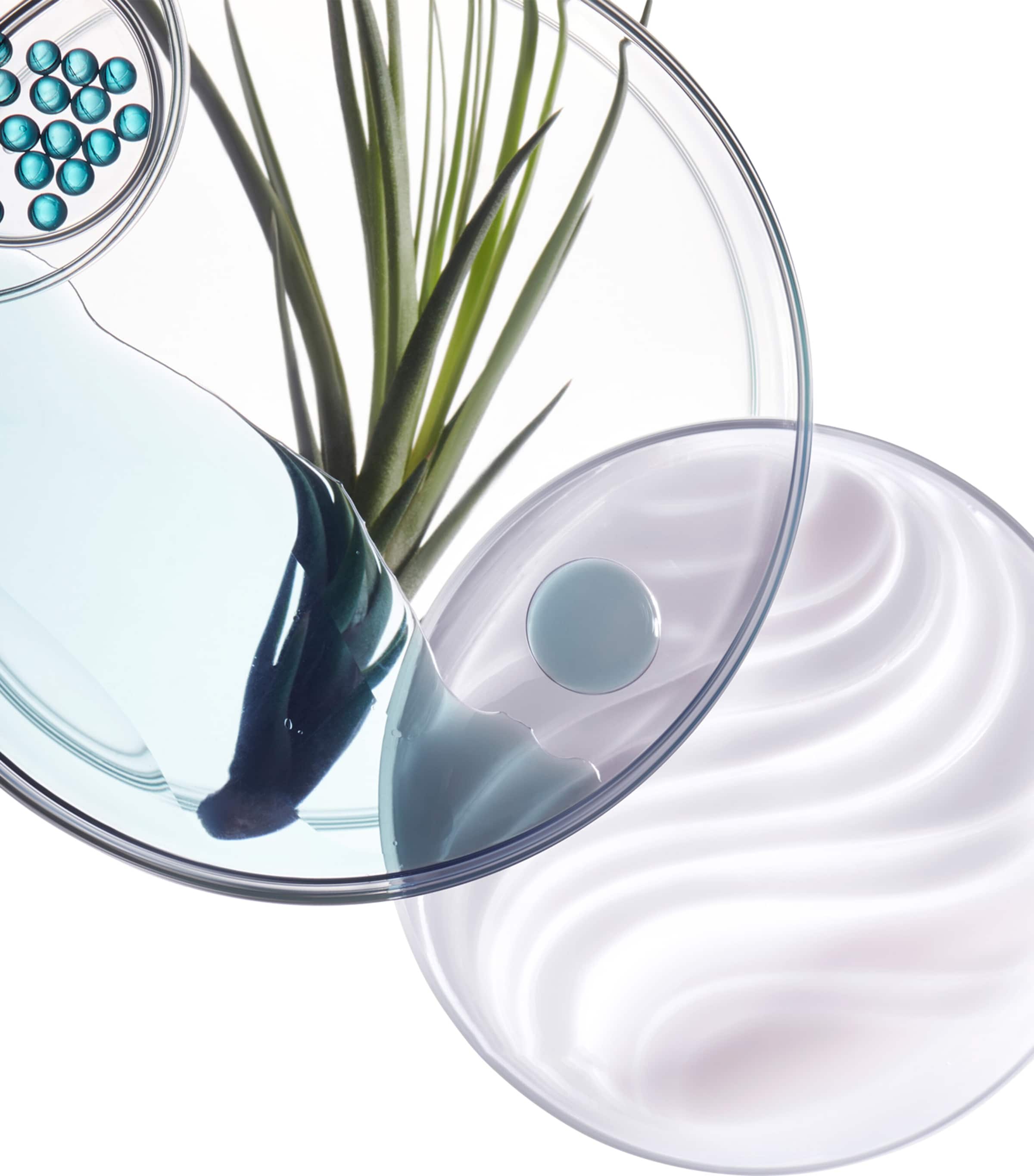 Resistance Bain Force Architecte Shampoo (500ml) - Refill NO COLOUR Image 2