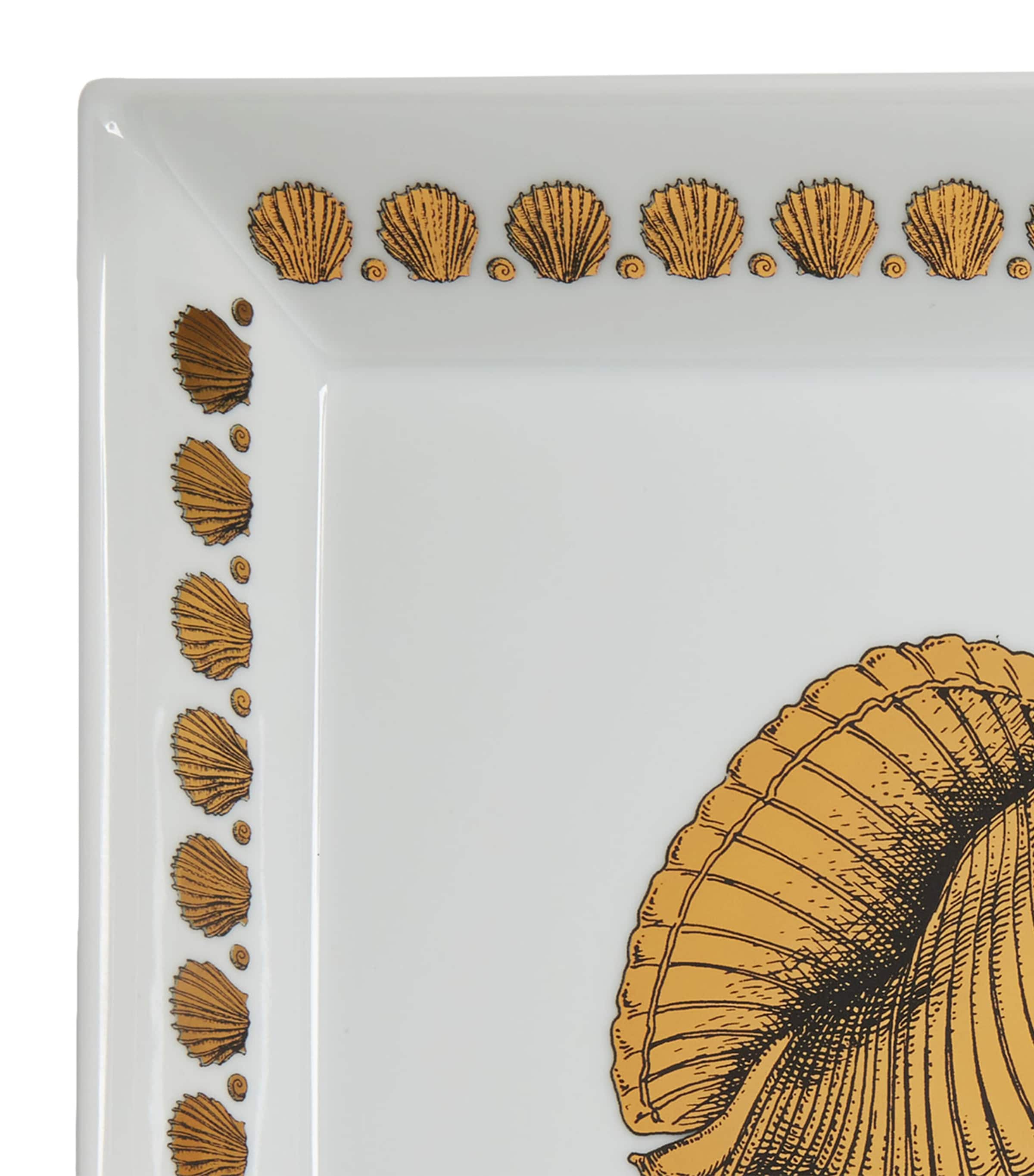 Square Giro di Conchiglie Plate (20cm x 20cm) MULTI Image 4