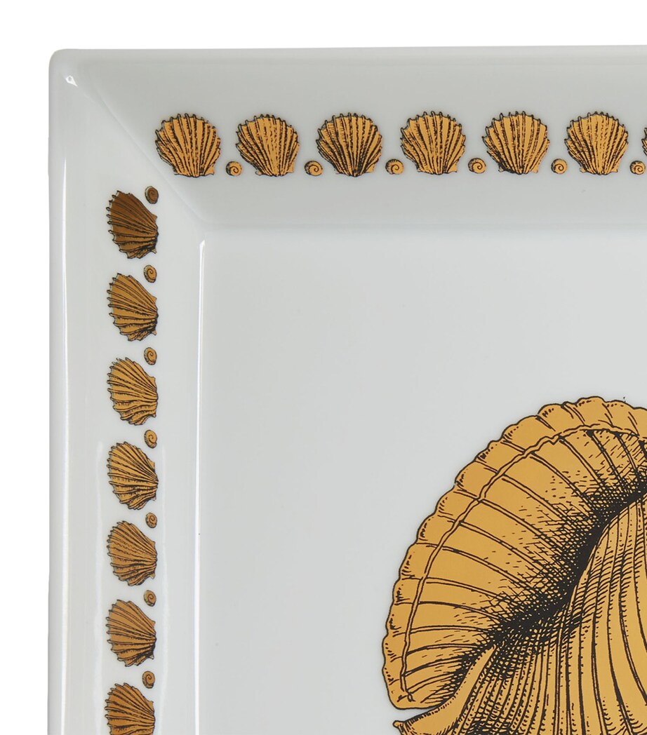 Square Giro di Conchiglie Plate (20cm x 20cm) MULTI Image 4