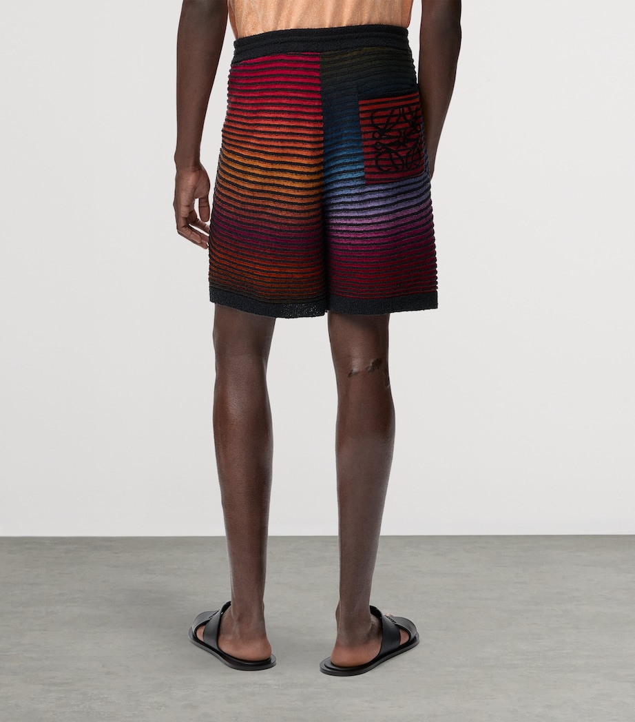 LOEWE Mens x Paula’s Ibiza Stripe Shorts Multicolor/black Image 4