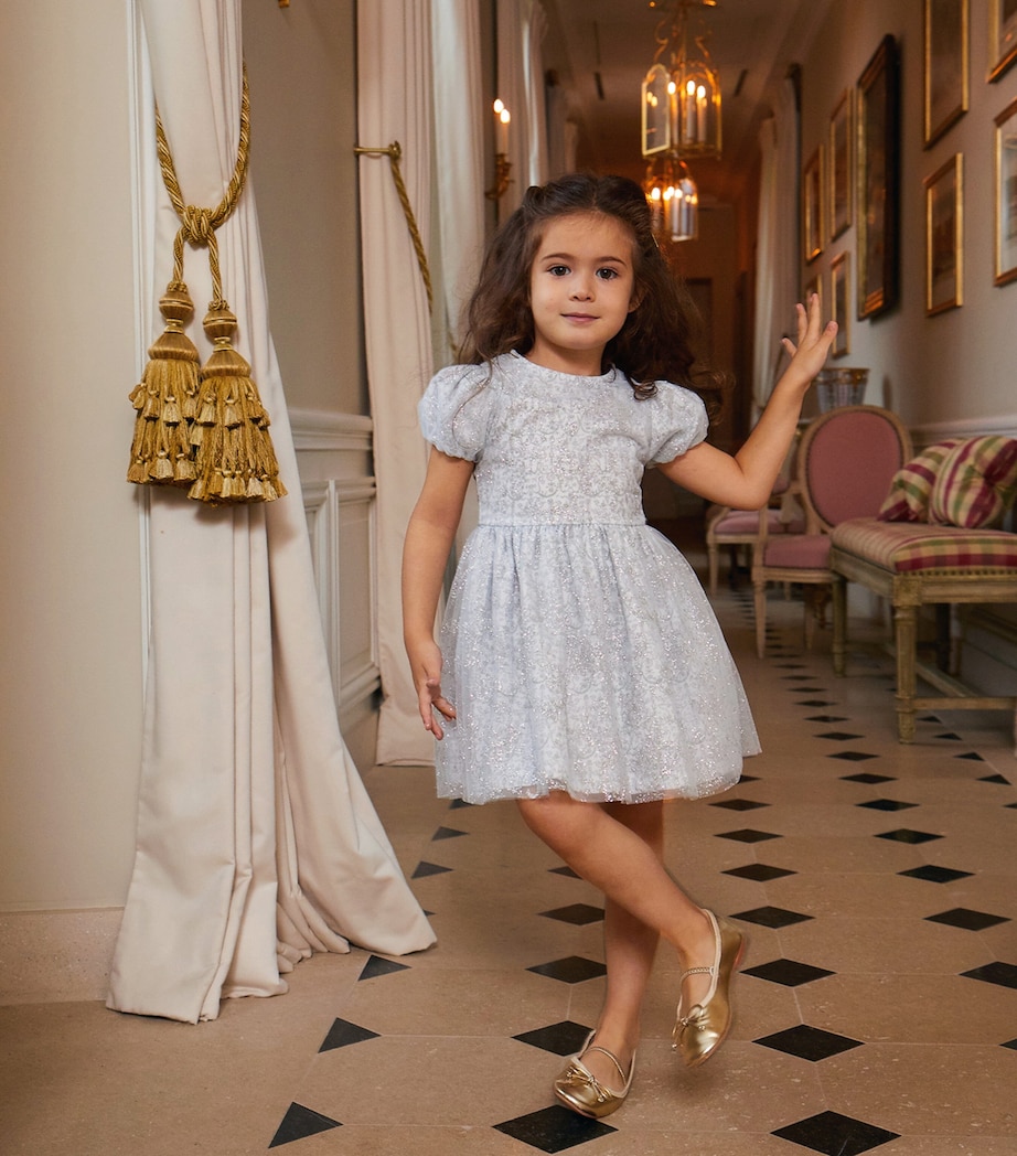 Embellished Marie Dress SPARKLE TOILE JOUY Image 7