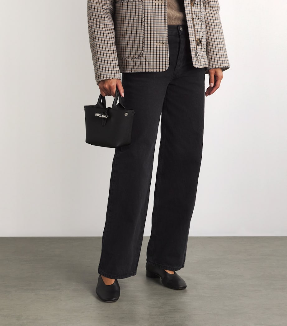 Extra Small Leather Le Roseau Top-Handle Bag 001 BLACK Image 5