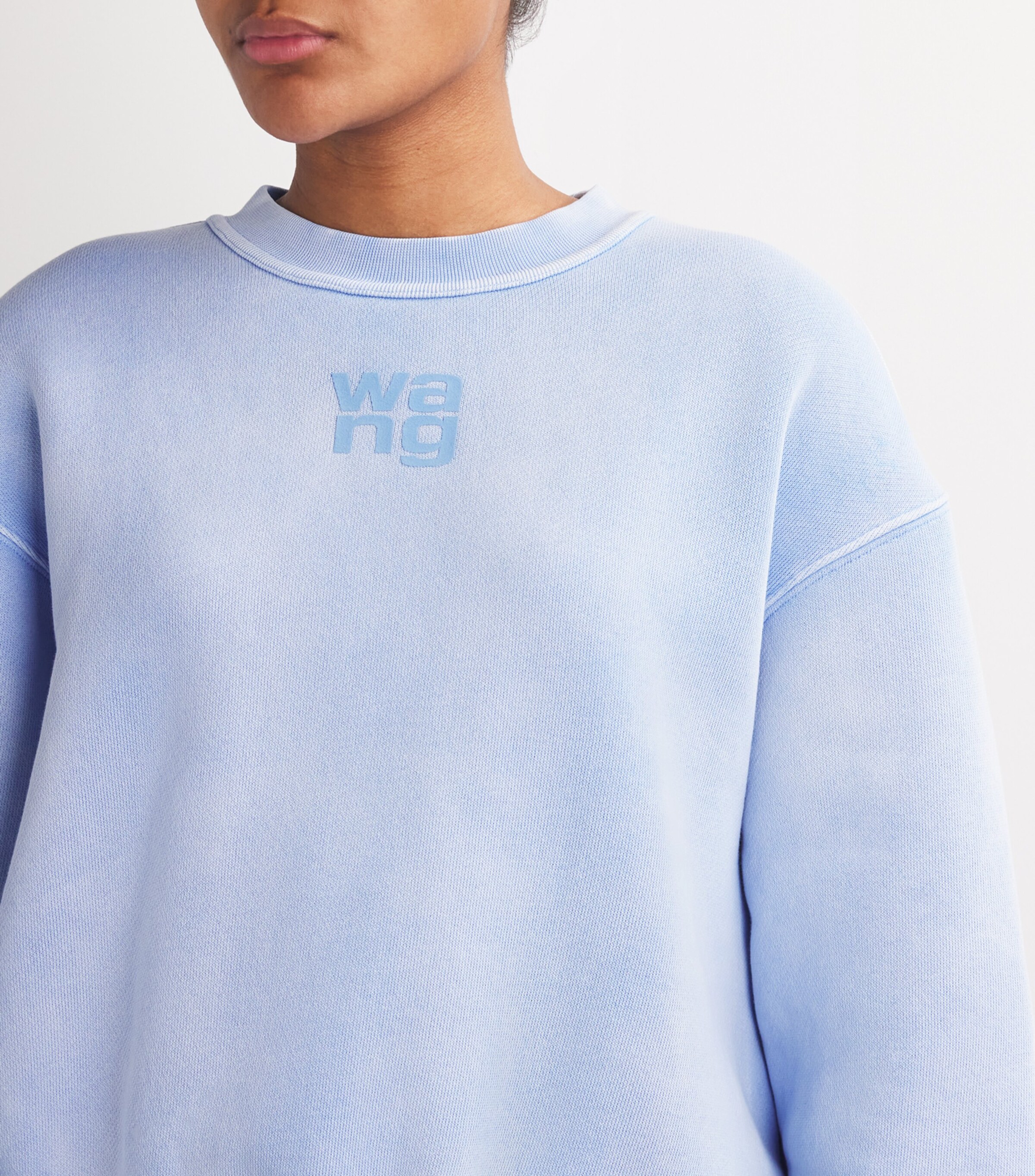 Puff Print Terry Sweatshirt WASHED PALE BLUE Image 6