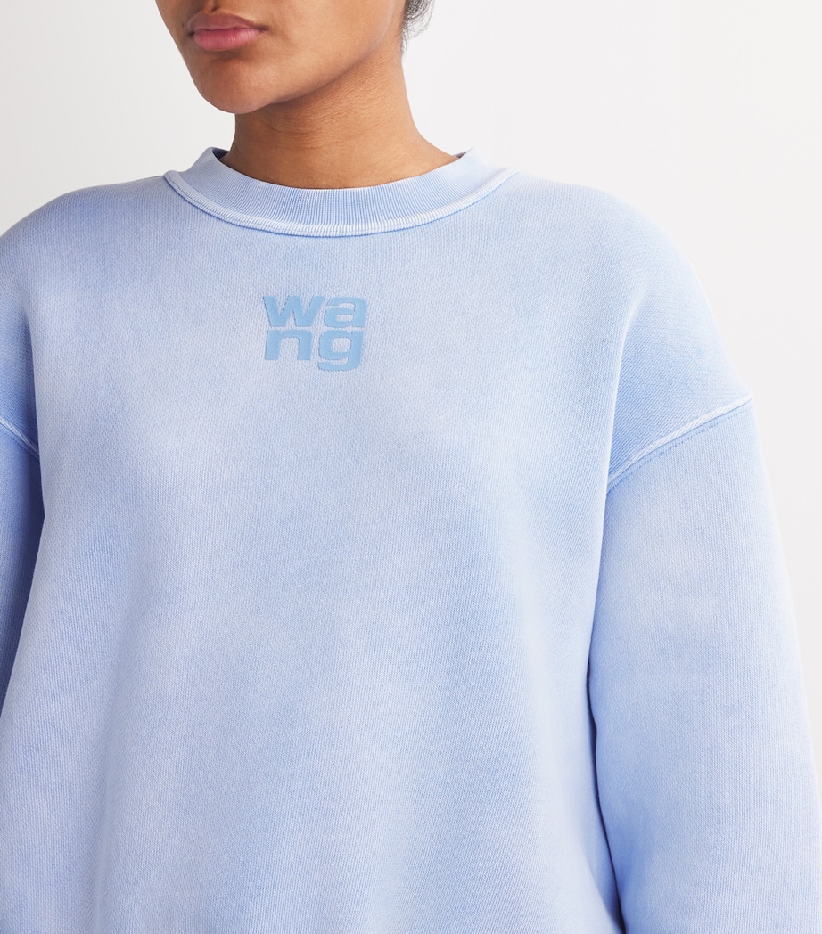 Puff Print Terry Sweatshirt WASHED PALE BLUE Image 6