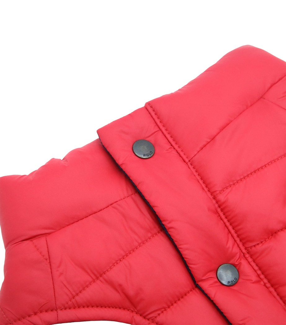 Reversible Puffer Dog Jacket (L) RED/HUNTER NAVY Image 5