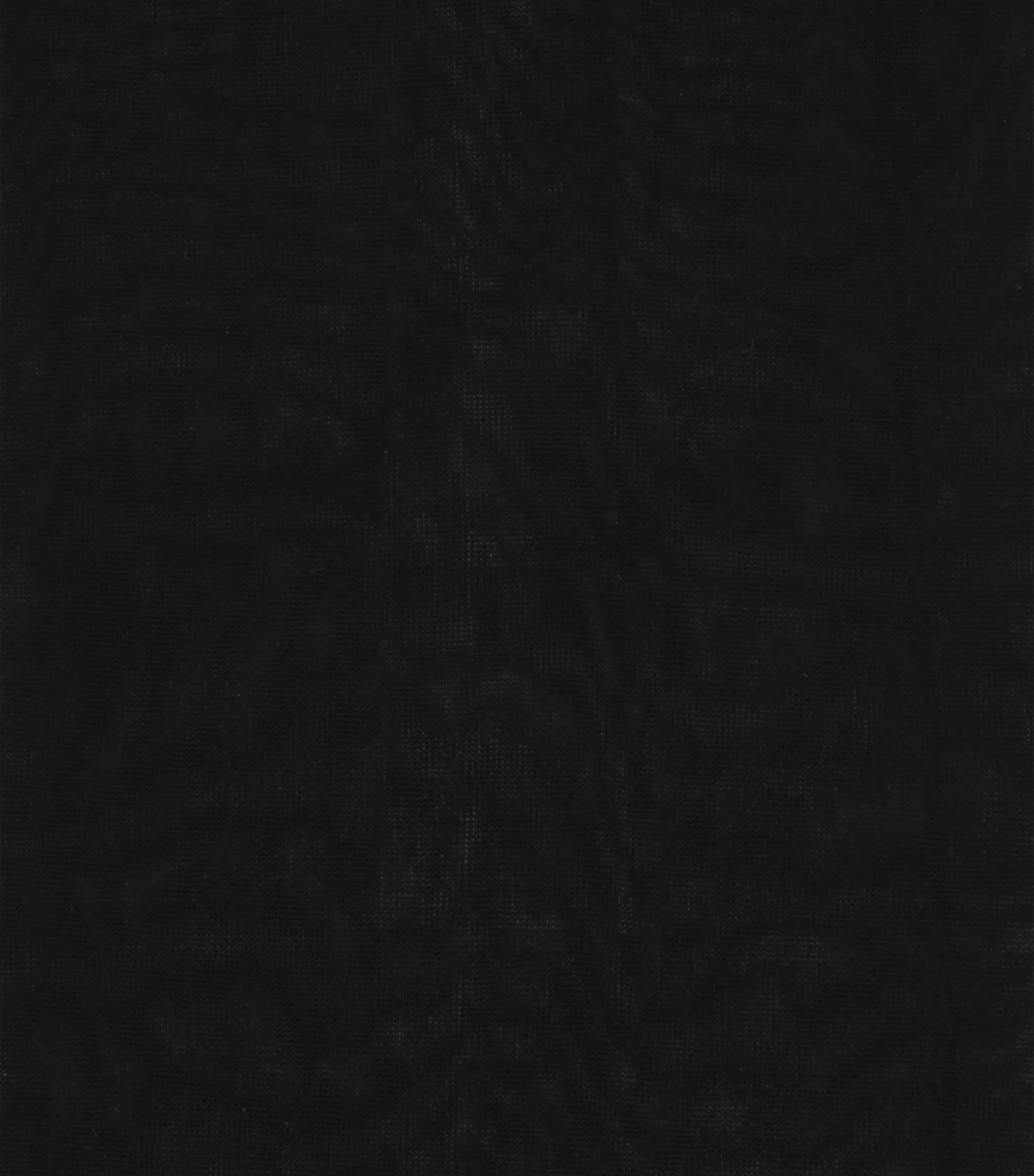 Shaping Top Tights (20 Denier) 3009 BLACK Image 2