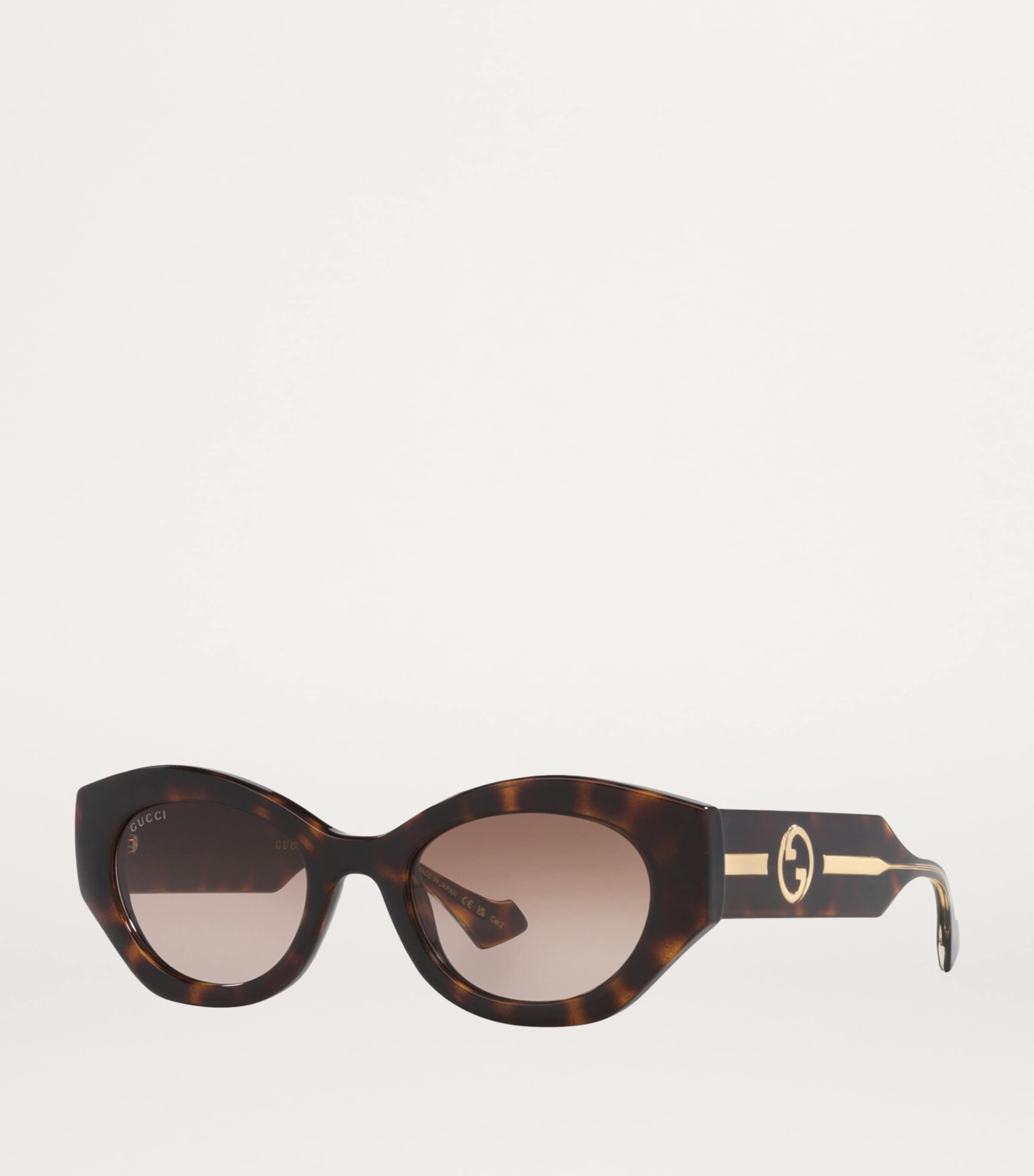 Injected Oval Sunglasses 4402D1 Image 2