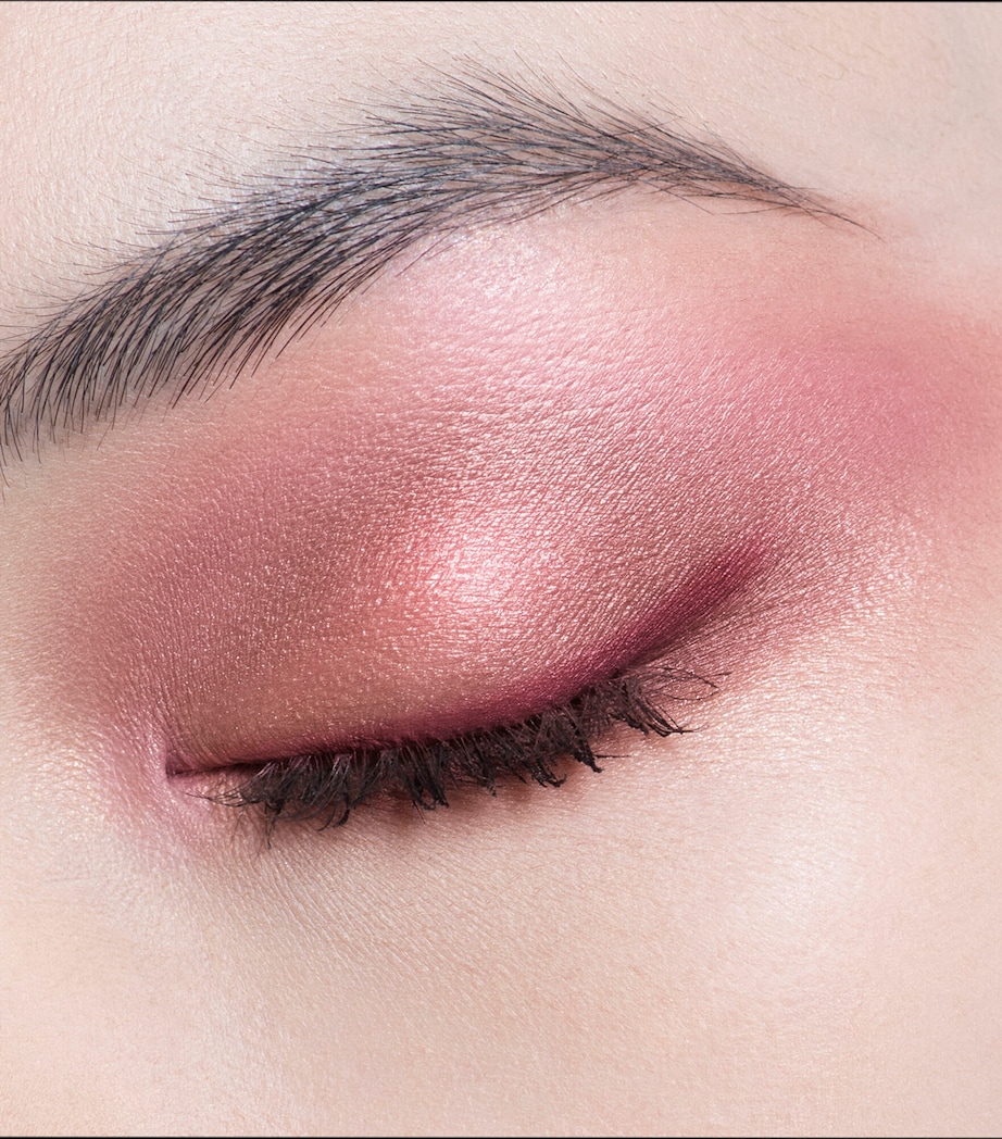 DIOR Diorshow 5 Couleurs Eyeshadow Palette Rosa Mutabilis Image 2