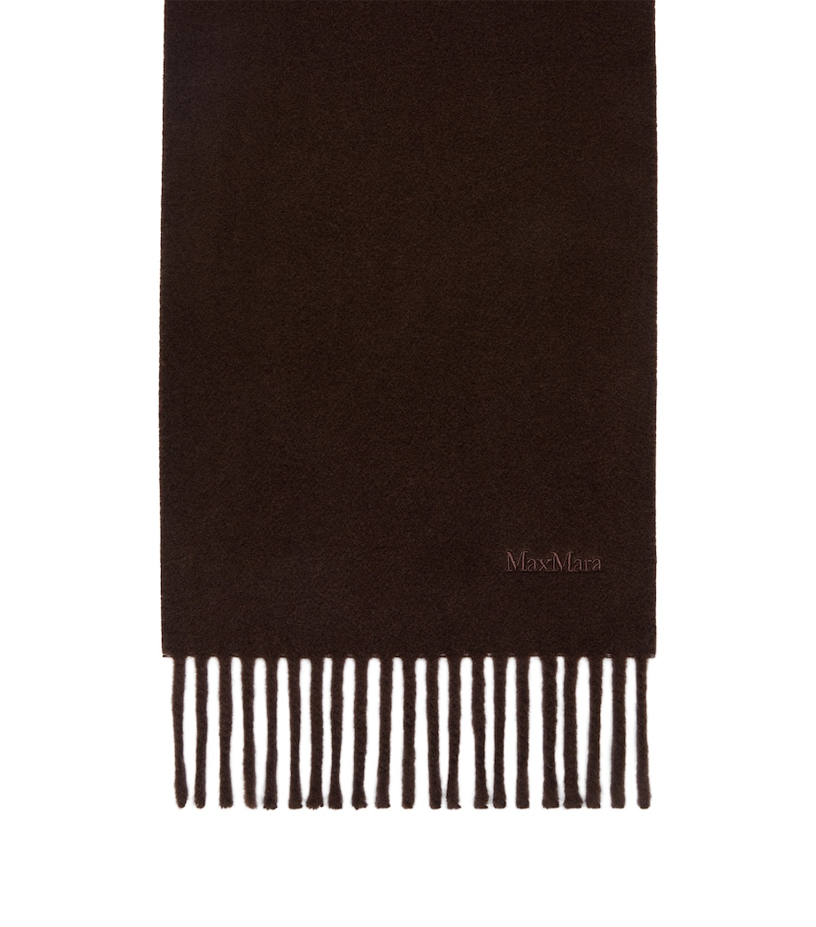 Max Mara Wool Fringed Logo Scarf Brown Image 1