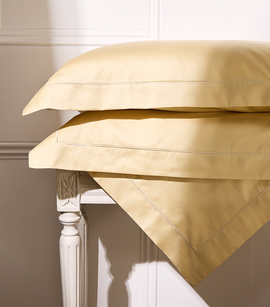 Bourdon Square Pillowcase (65cm x 65cm) 870 REIMS Image 5