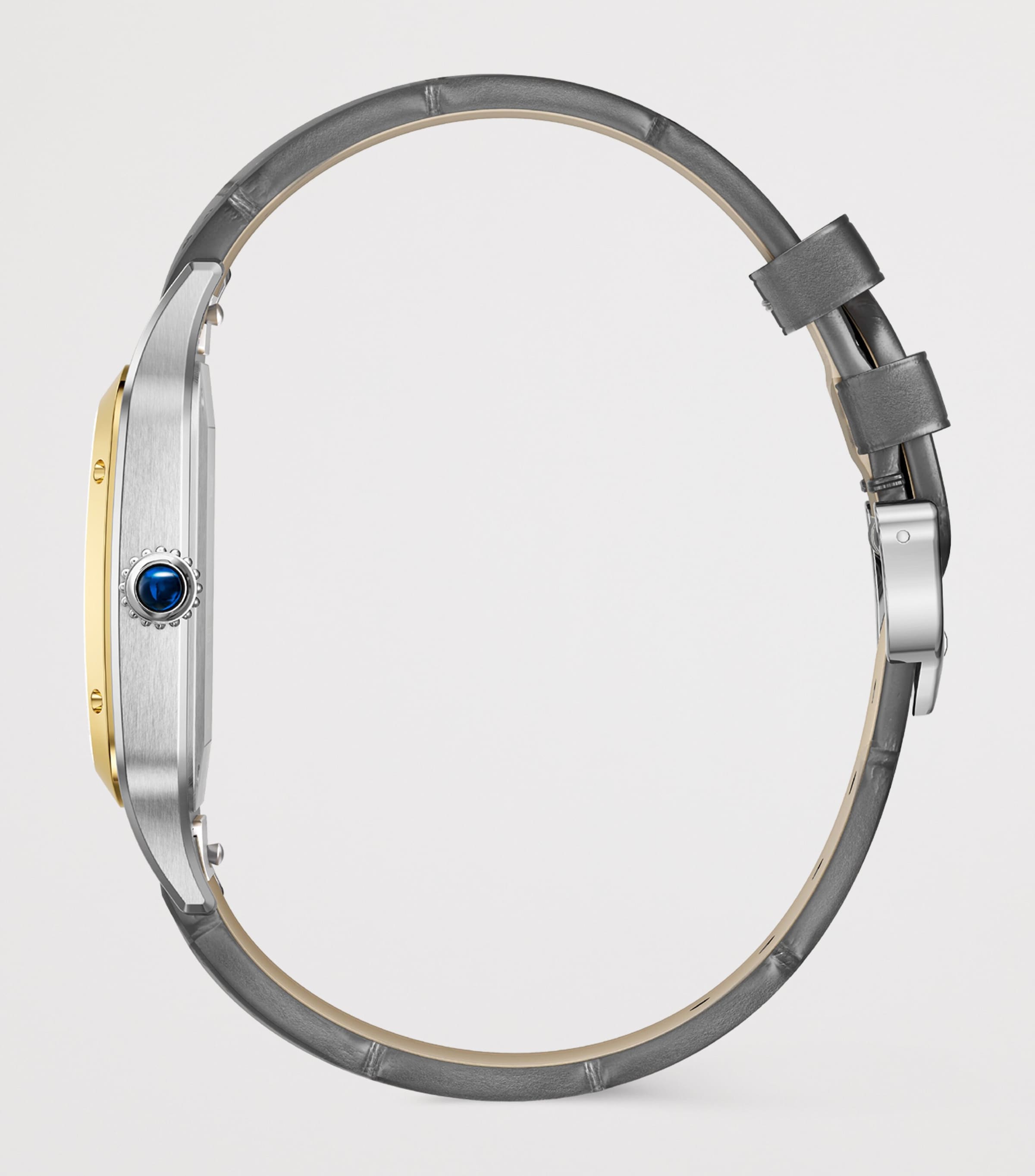 Extra Large Steel and Yellow Gold Santos-Dumont Watch 46.6mm STEEL + YELLOW GOLD Image 4