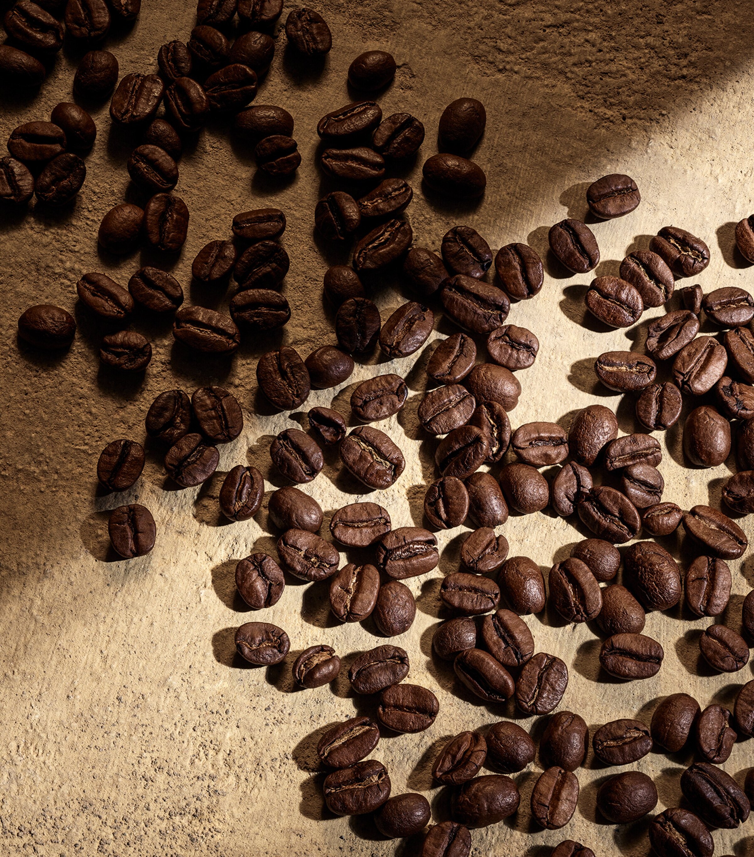 Devotion For Men Parfum (50ml) NO COLOUR Image 6