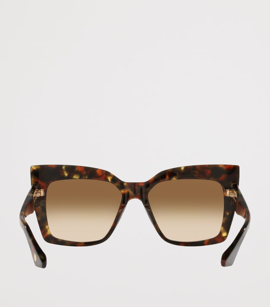 DITA Telemaker Cat Eye Sunglasses Brown Image 4