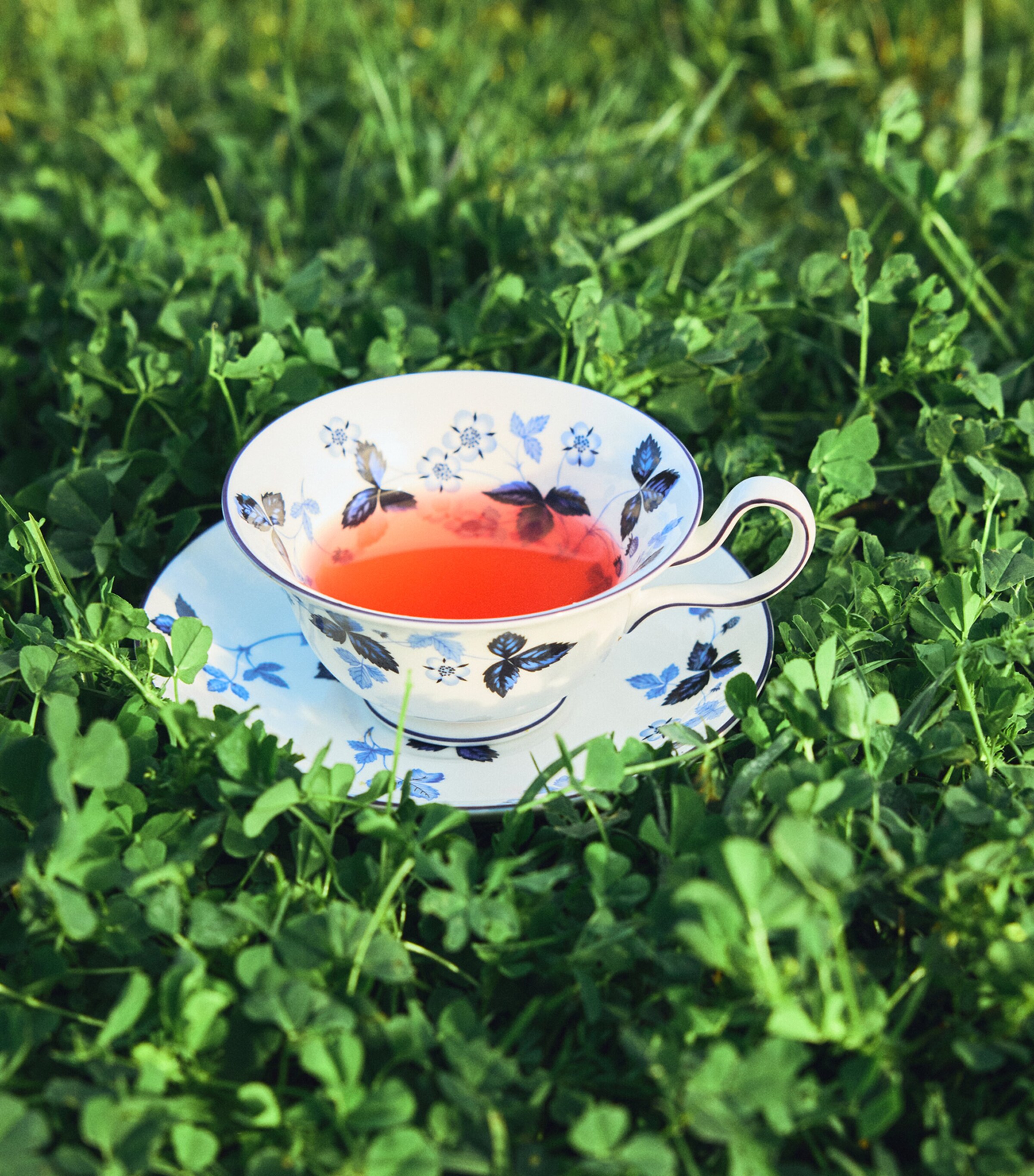Wedgwood Wild Strawberry Inky Blue Teacup and Saucer Image 6