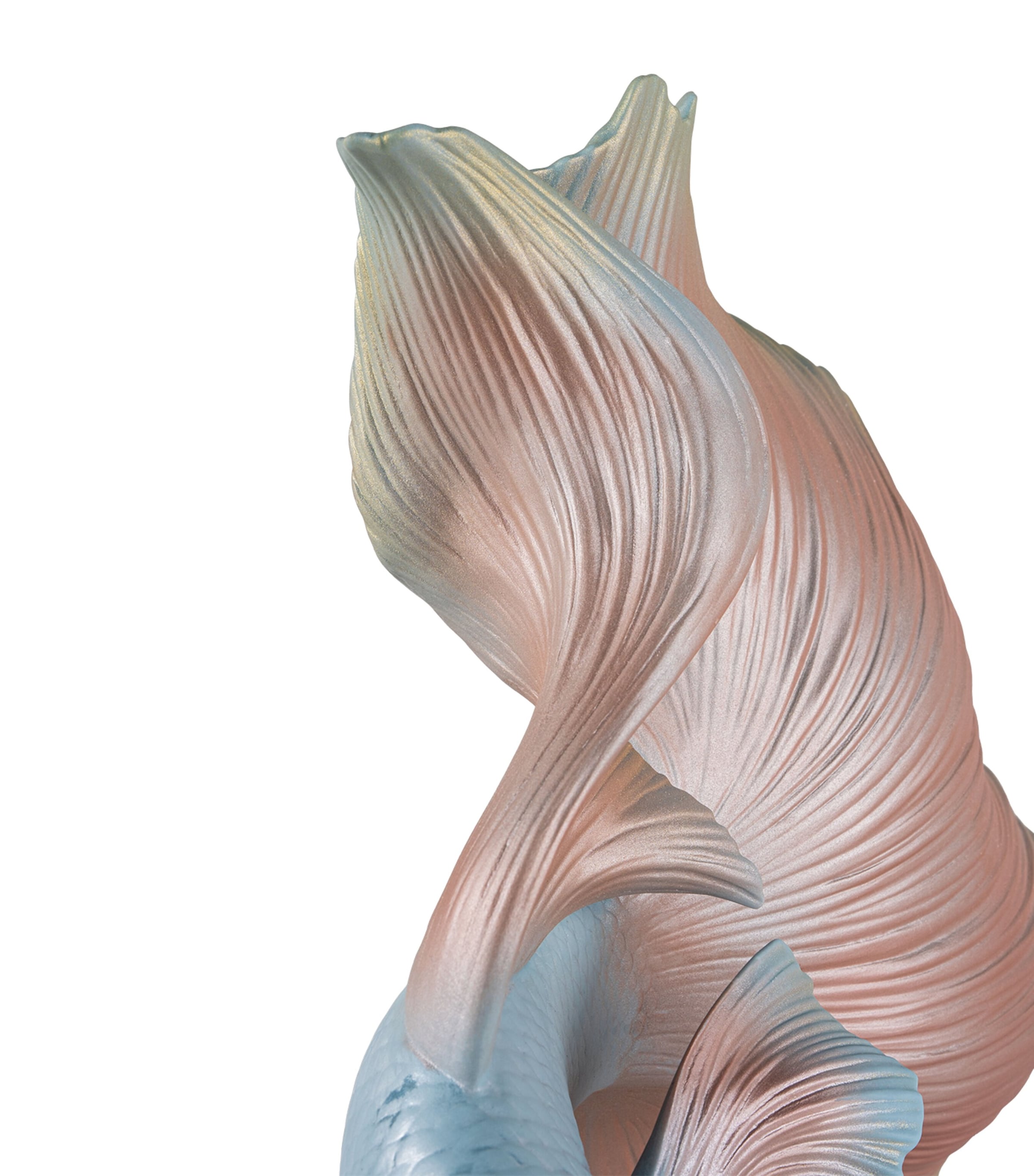 Porcelain Betta Fish Right Ornament NO COLOUR Image 3