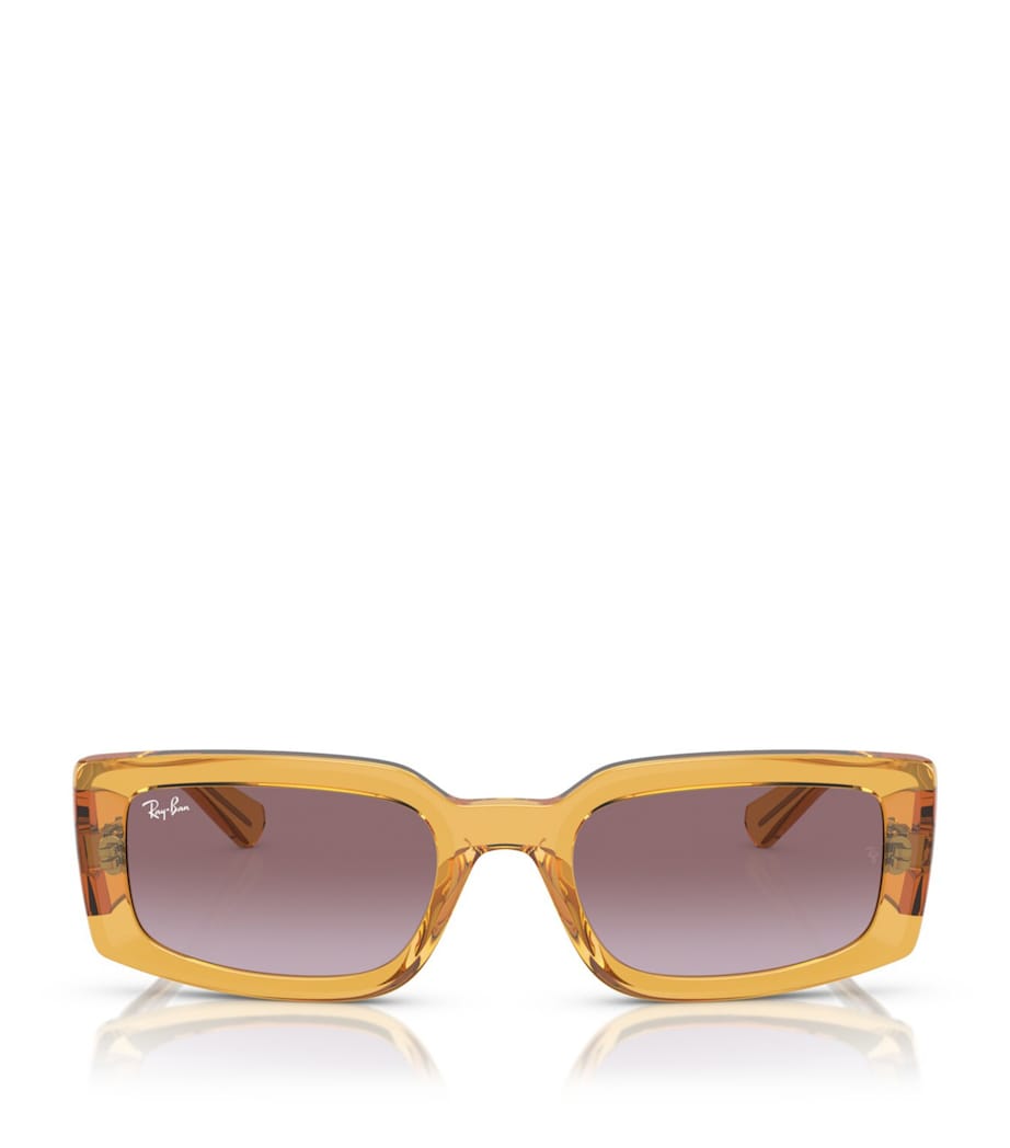 Acetate 0RB4395 Sunglasses 66828H Image 1